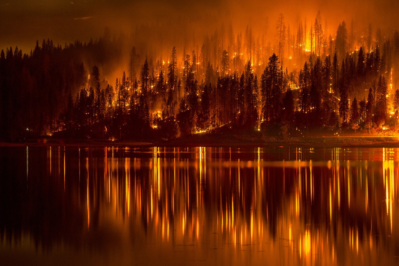 Forest fire reflected in a lake at night HD Wallpaper