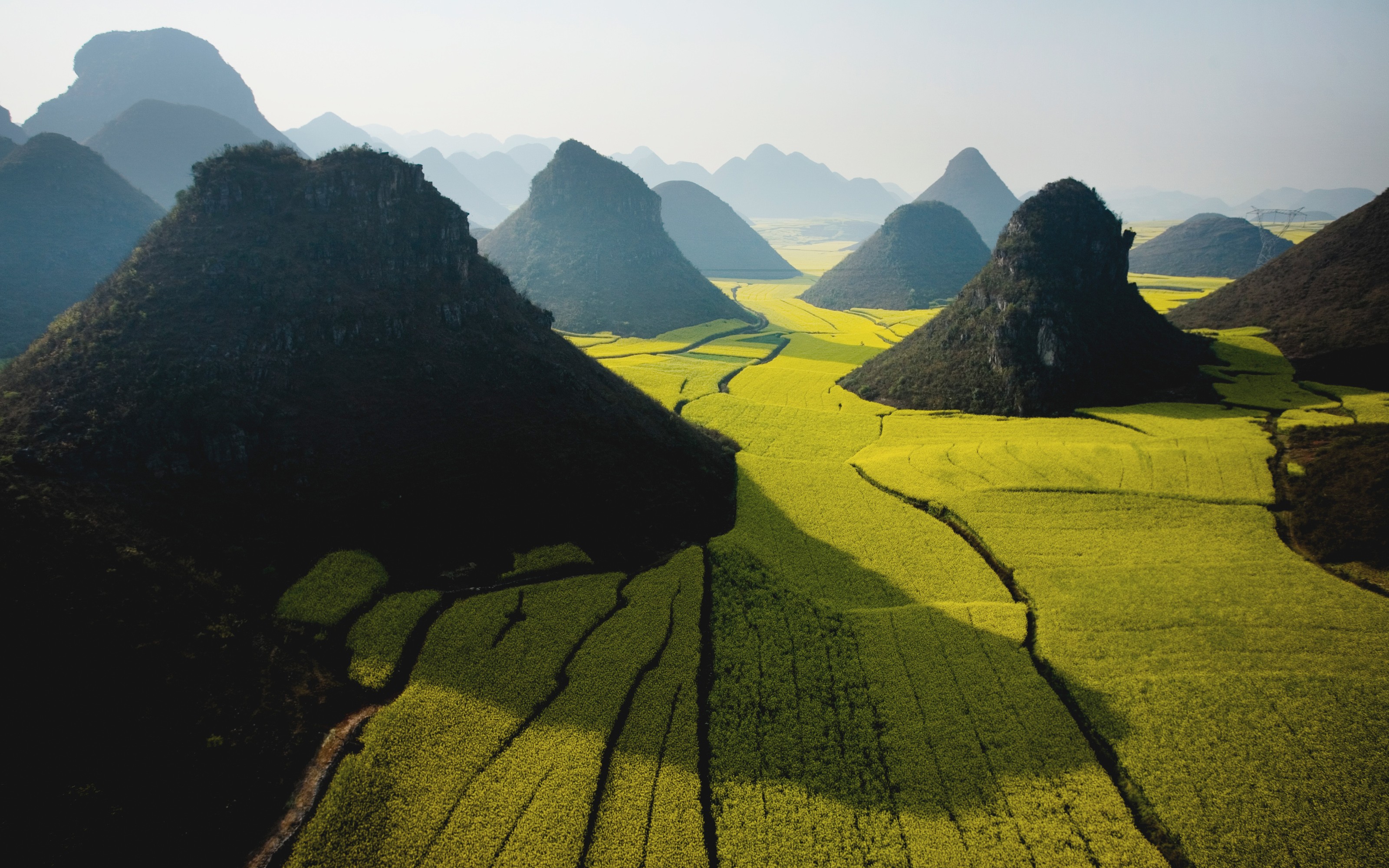 Karst landscape with rapeseed fields in China HD Wallpaper