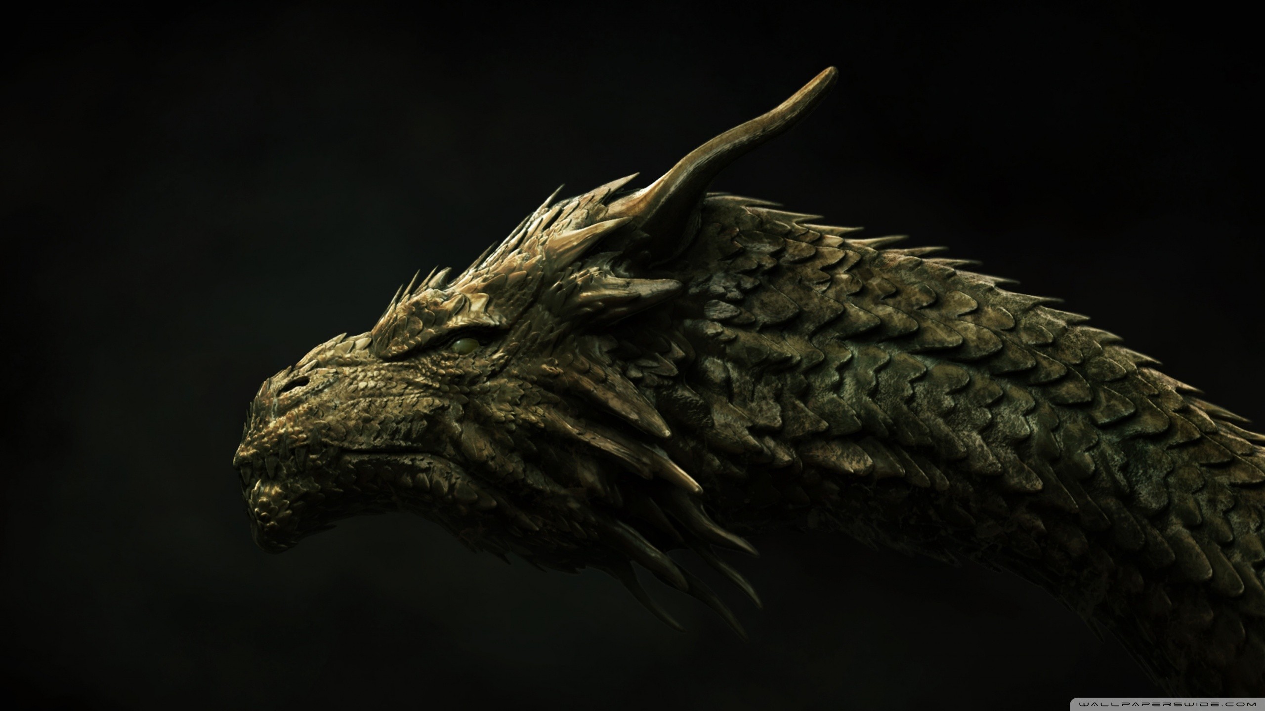 Close-up of a fantasy dragon's head HD Wallpaper