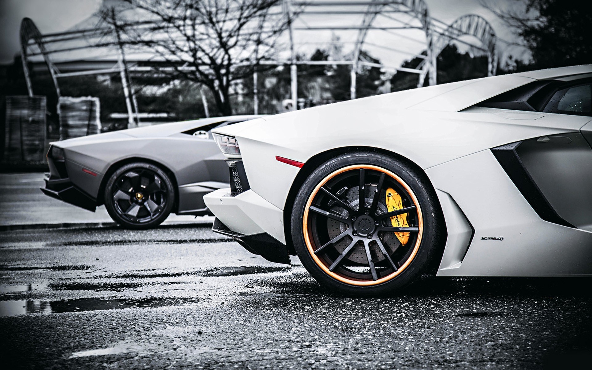 Two Lamborghinis parked on a wet road HD Wallpaper