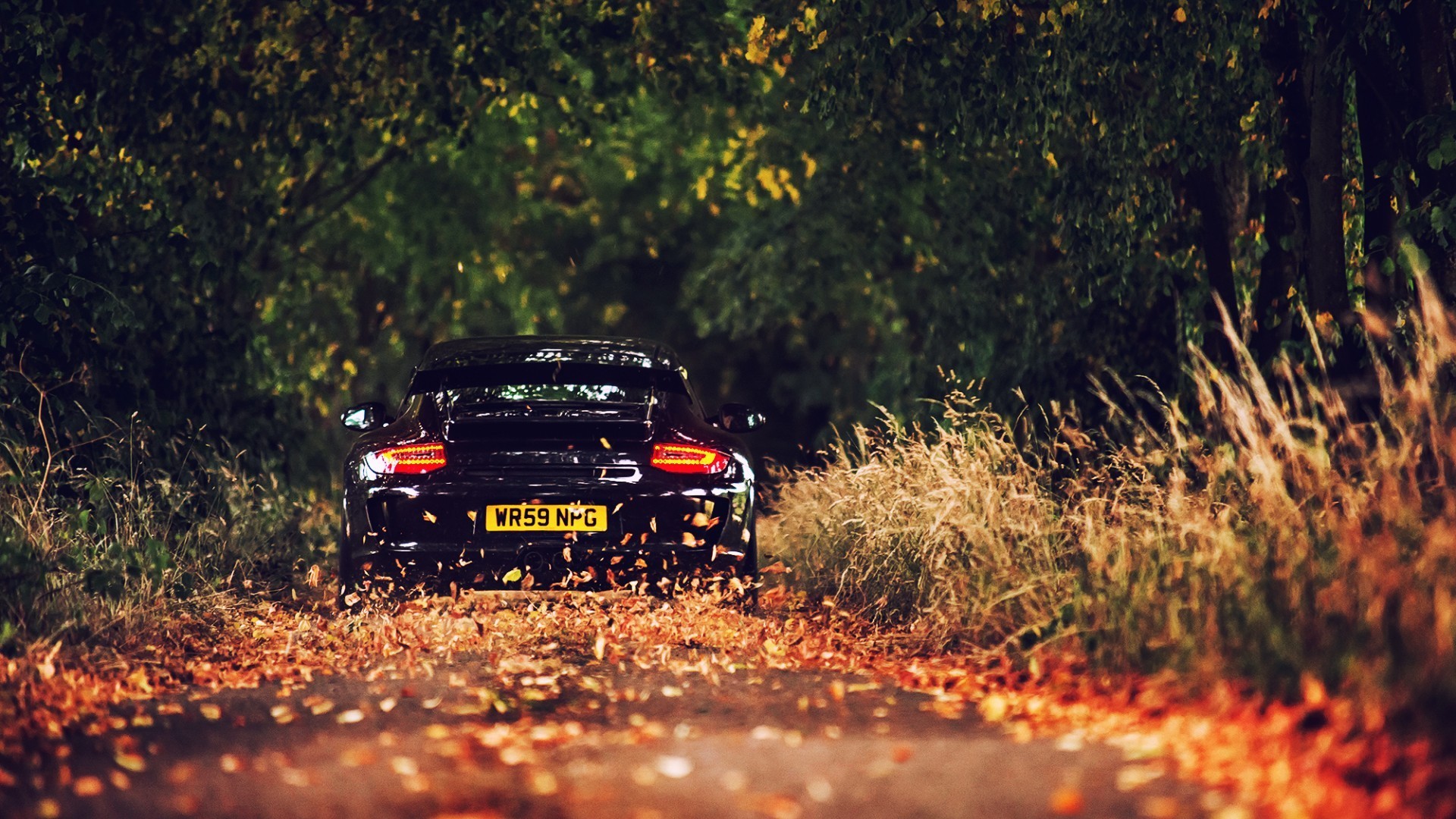 Black Porsche driving on a leaf-covered road in fall HD Wallpaper