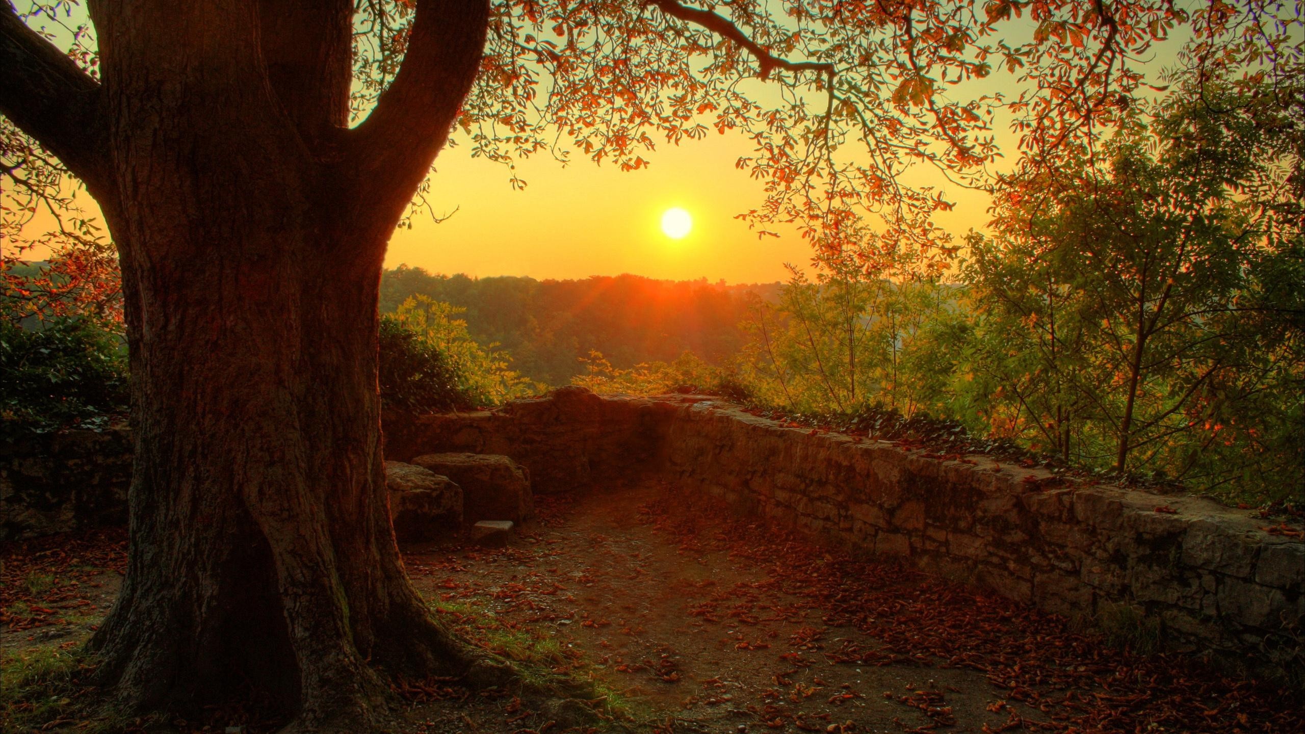 Sunset over a wooded landscape with a stone wall HD Wallpaper