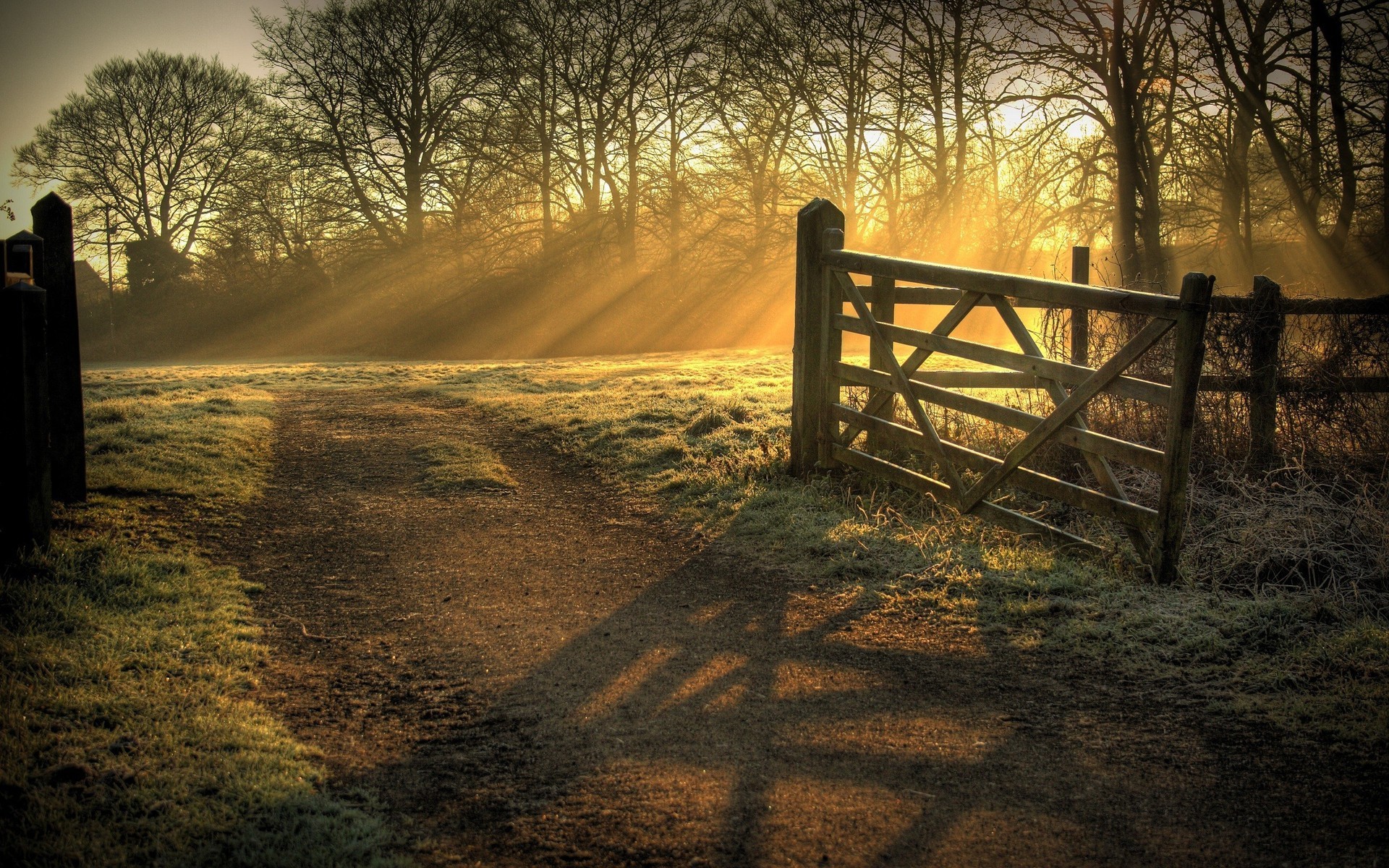 Sunlight streams through trees onto a rural path and gate HD Wallpaper