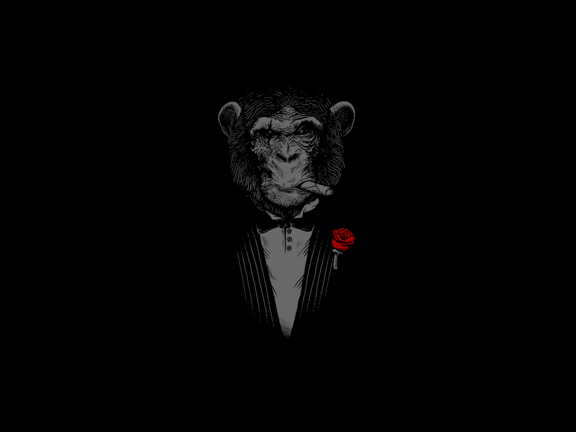 Monkey in a suit smoking a cigar with a red rose HD Wallpaper