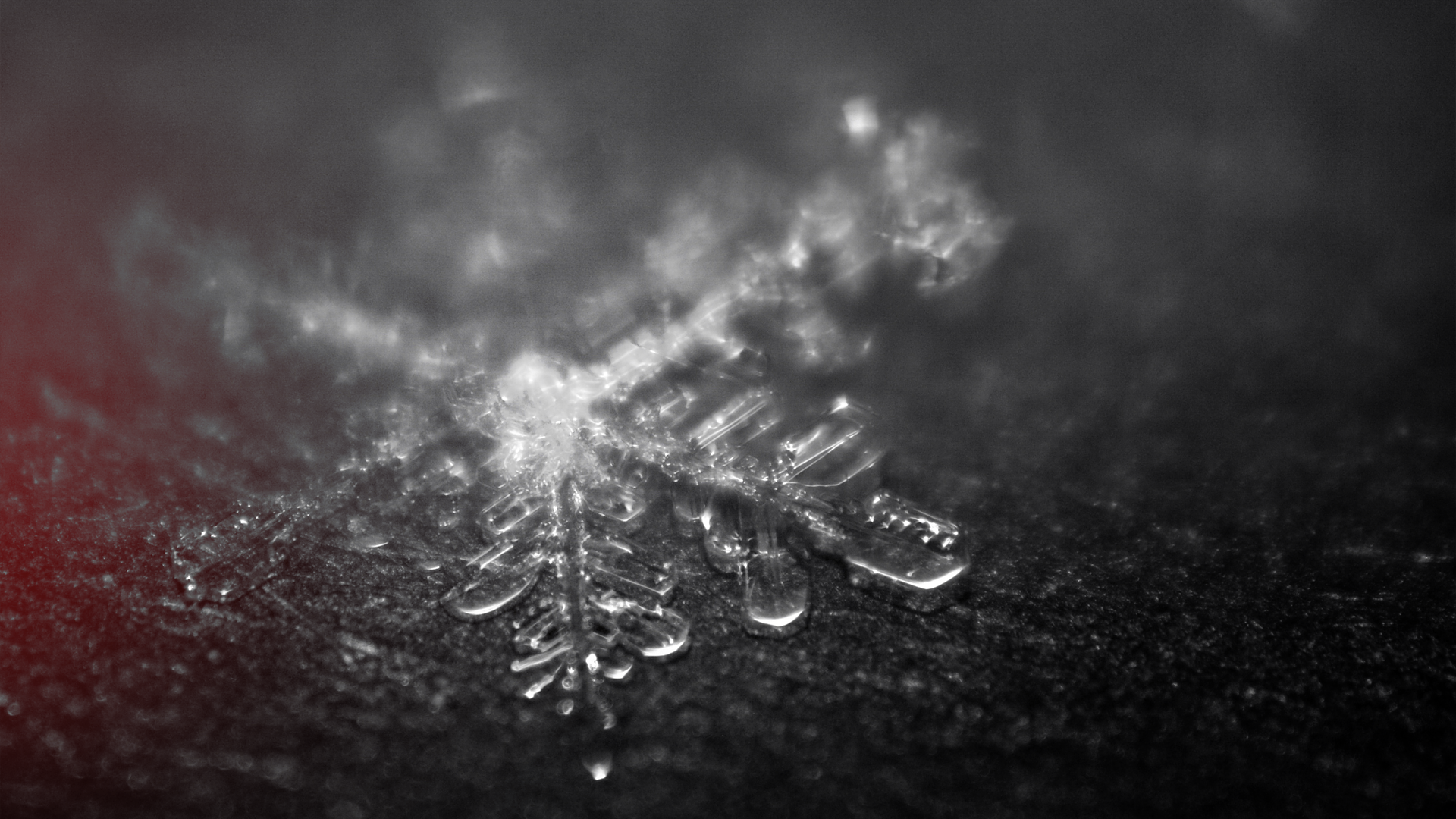 Macro photograph of a snowflake HD Wallpaper