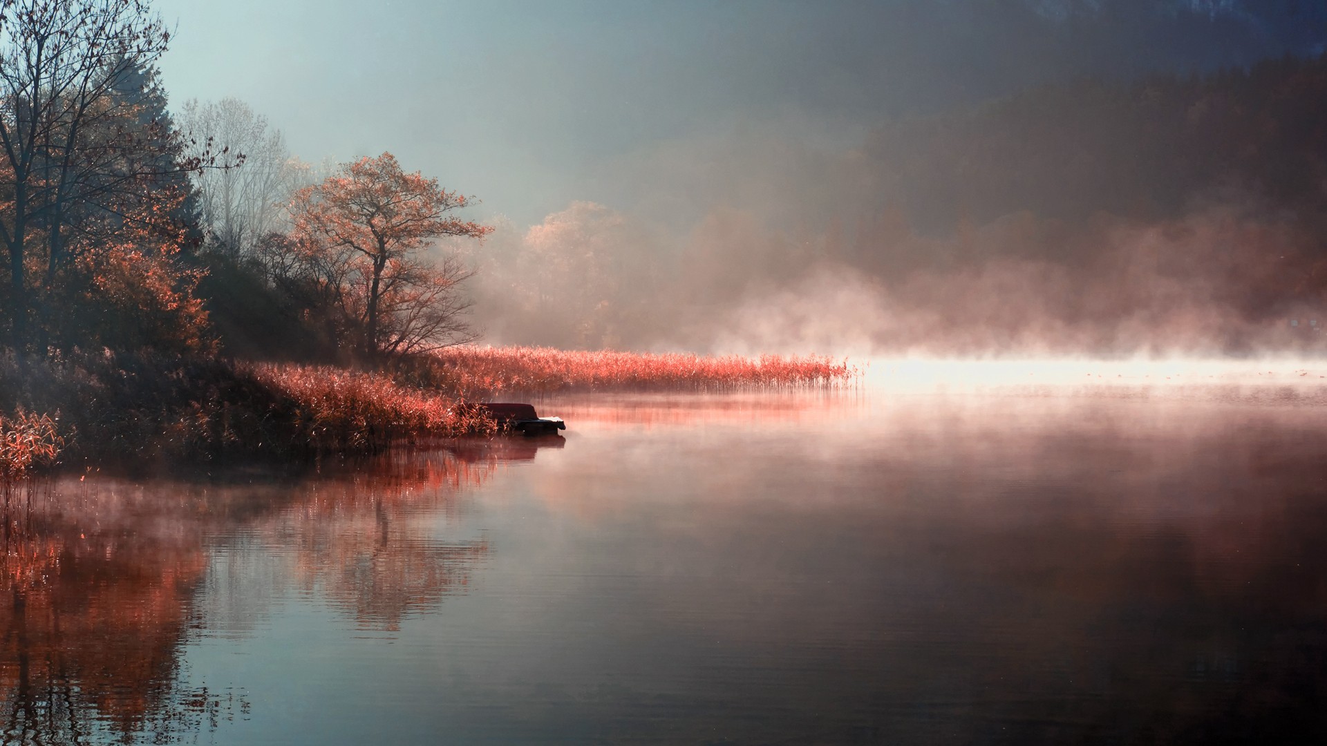 Misty lake with autumn trees and reflection HD Wallpaper