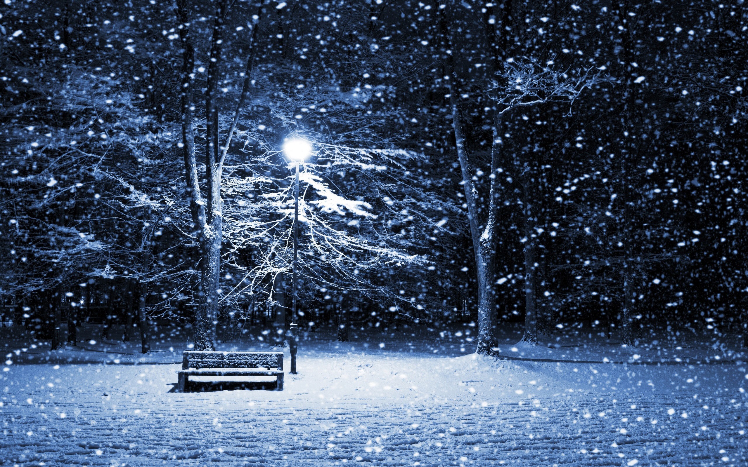 Snowy night park with bench and lantern HD Wallpaper
