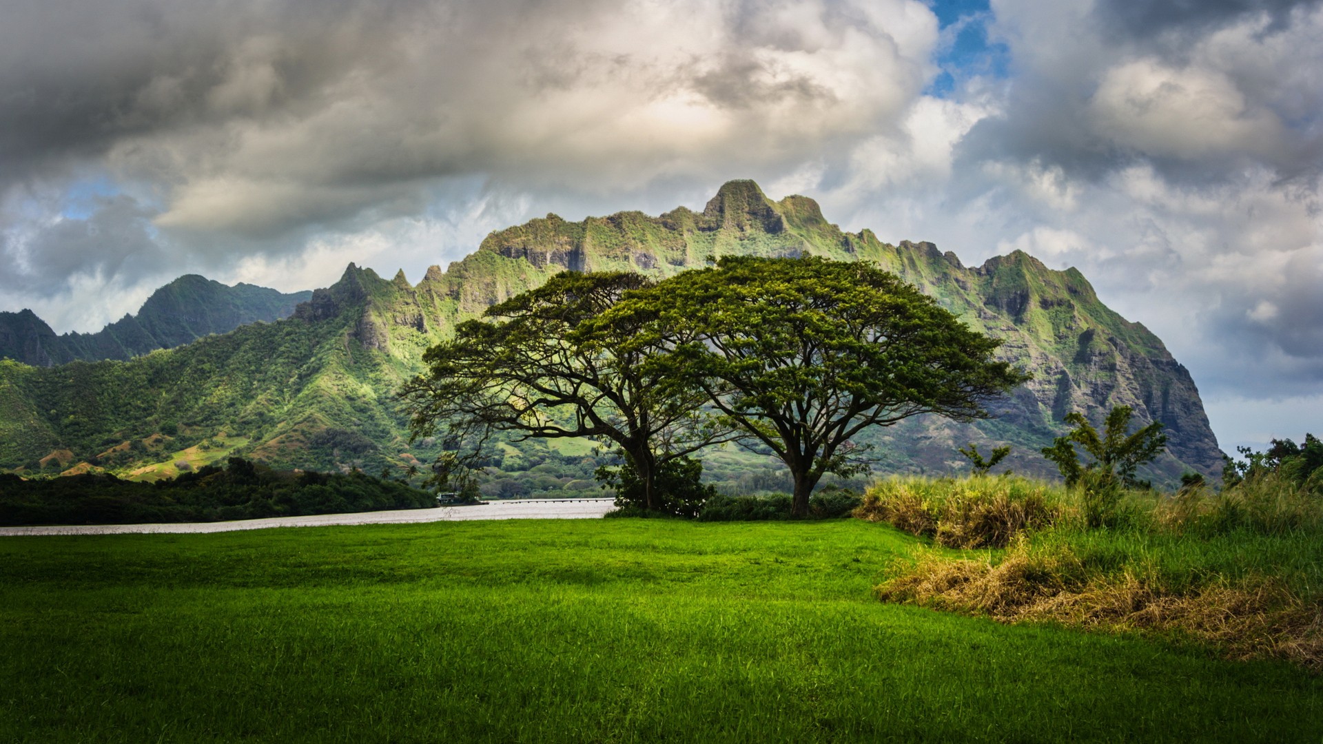 Hawaii nature landscape HD Wallpaper