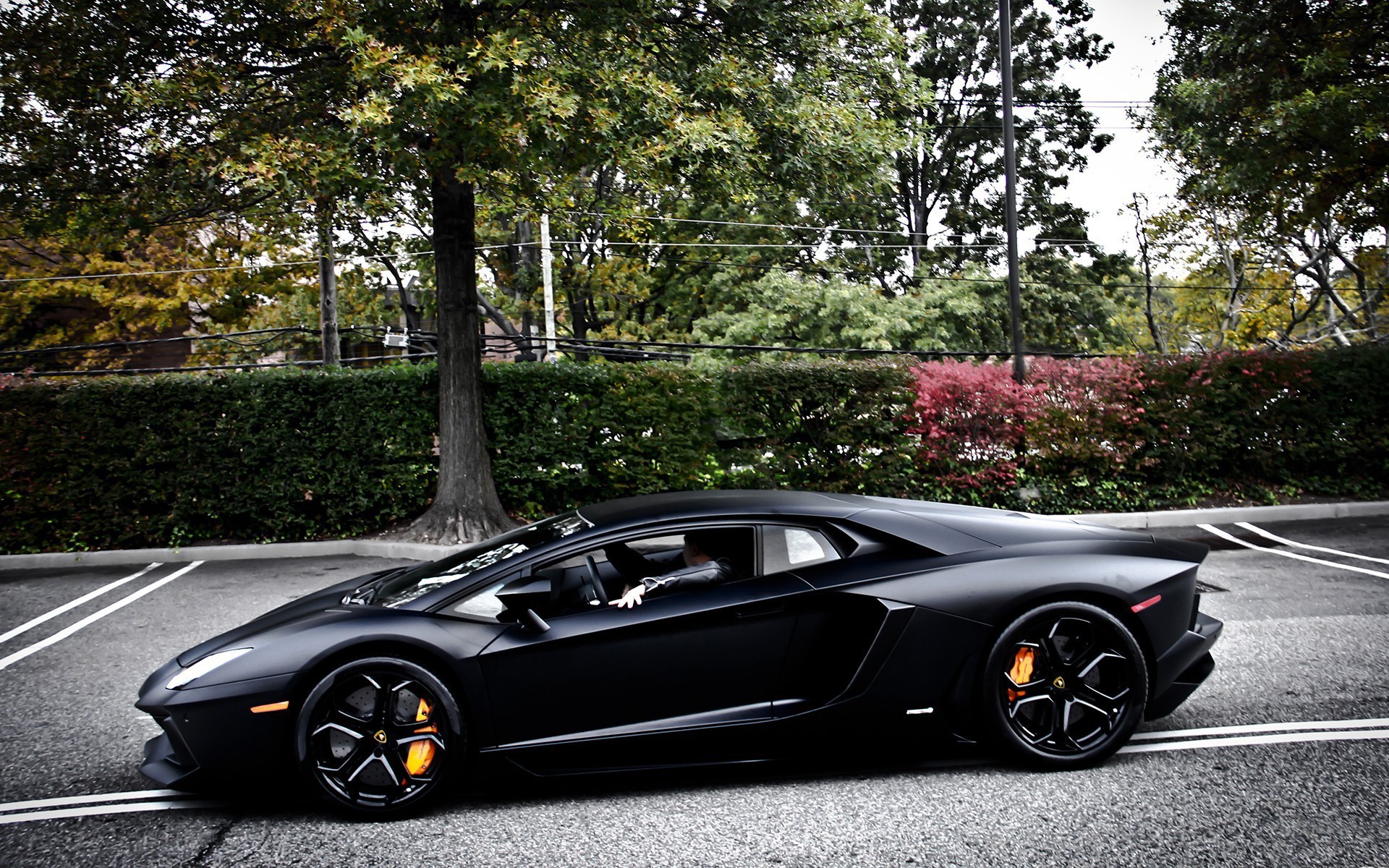 Matte Black Lamborghini Aventador in Parking Lot HD Wallpaper