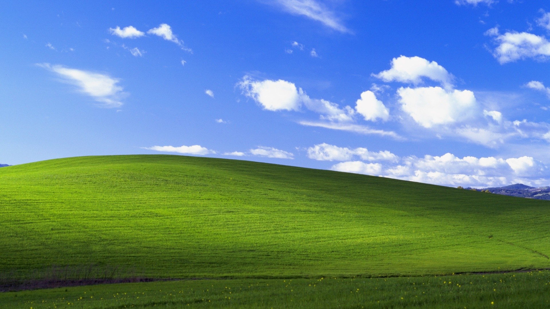 Windows XP Bliss landscape with green hills and blue sky HD Wallpaper