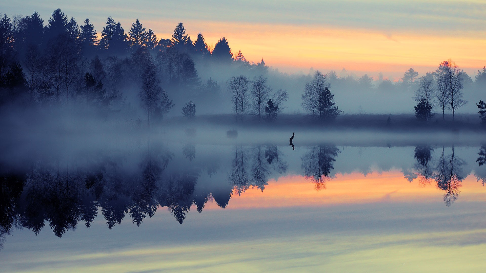 Misty forest lake reflection at sunrise HD Wallpaper