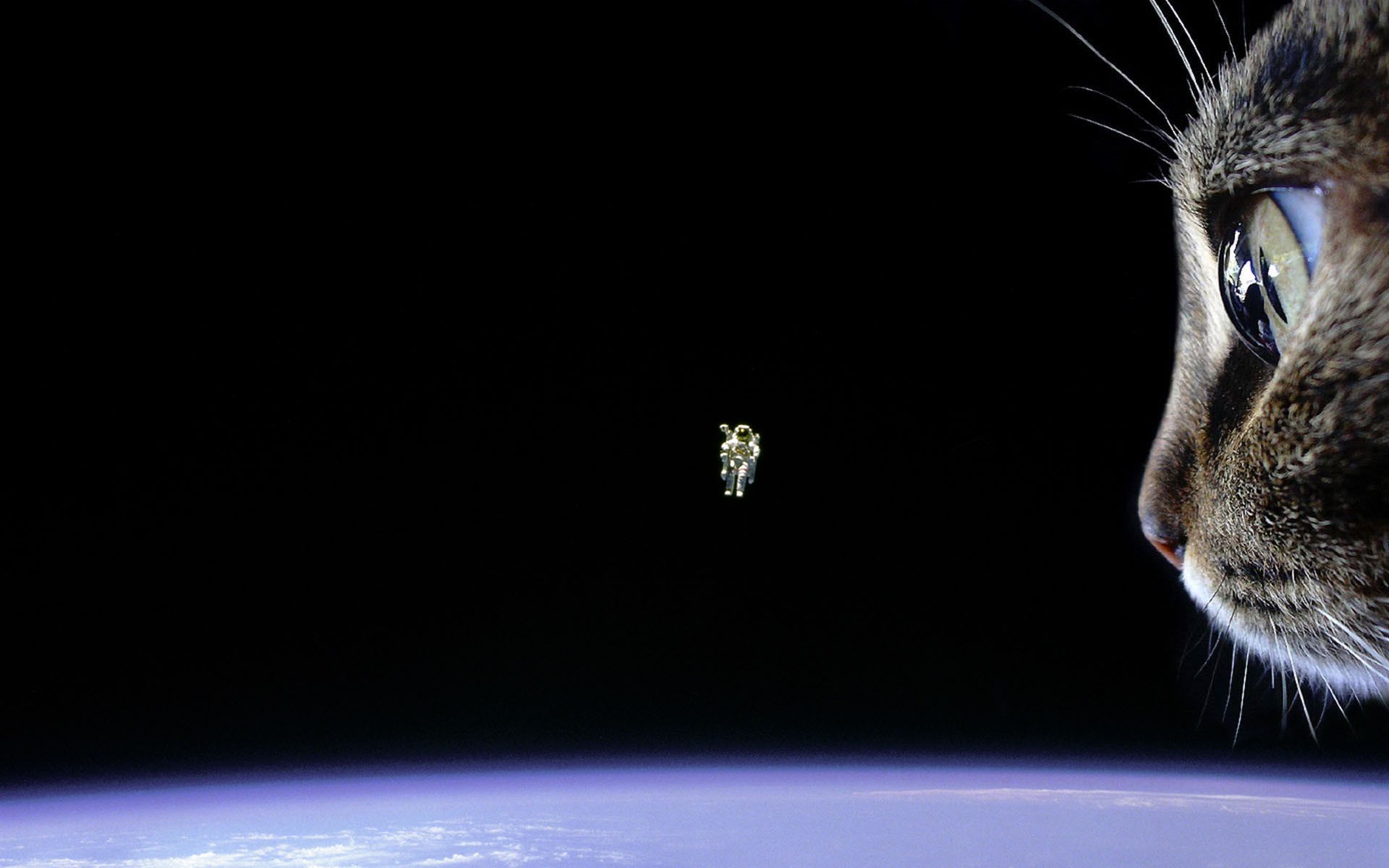 Cat looking at an astronaut in space above Earth HD Wallpaper