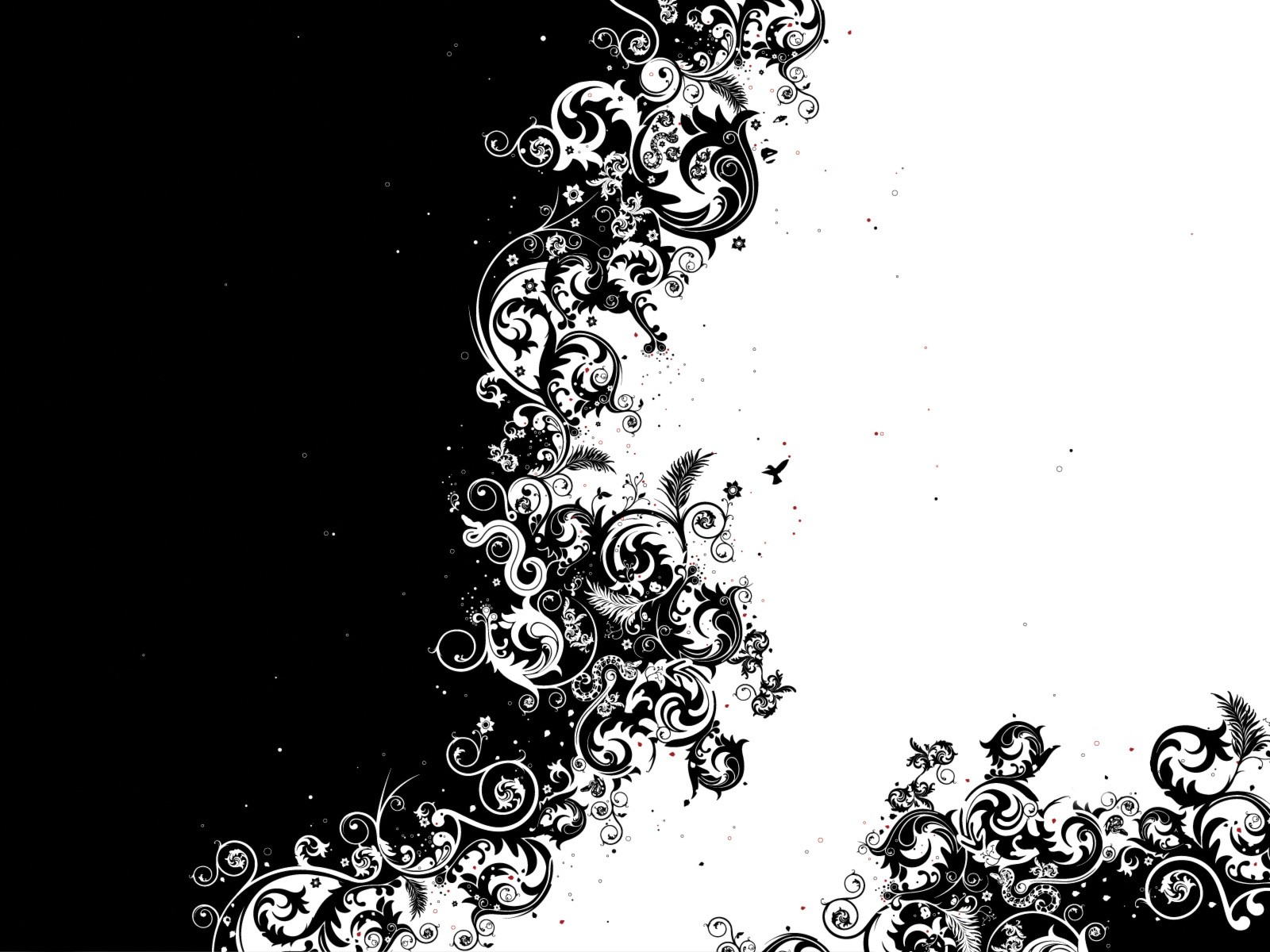 Monochrome abstract floral artwork with black and white contrast HD Wallpaper