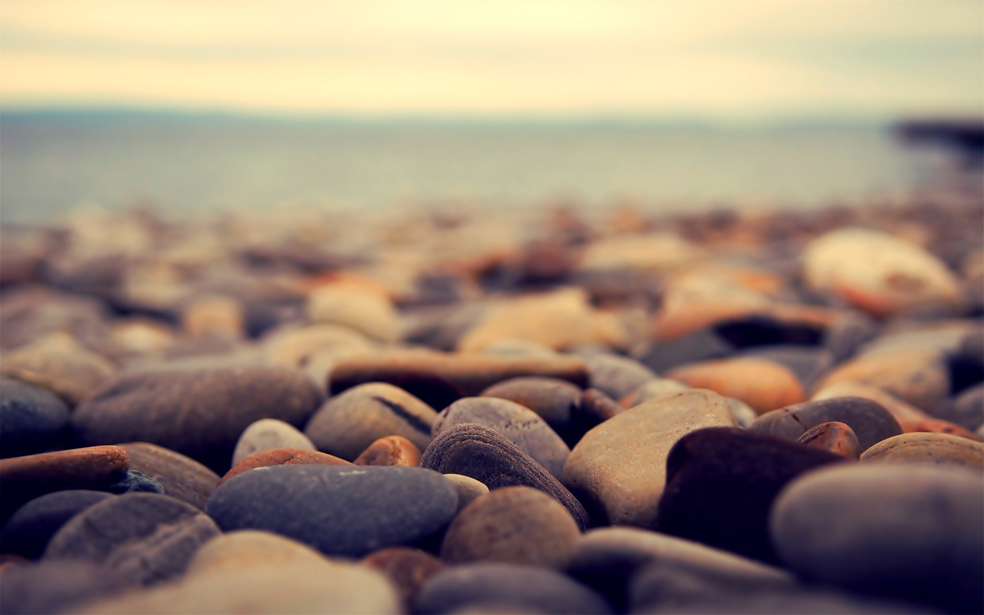 Close-up of beach stones with blurred ocean background HD Wallpaper