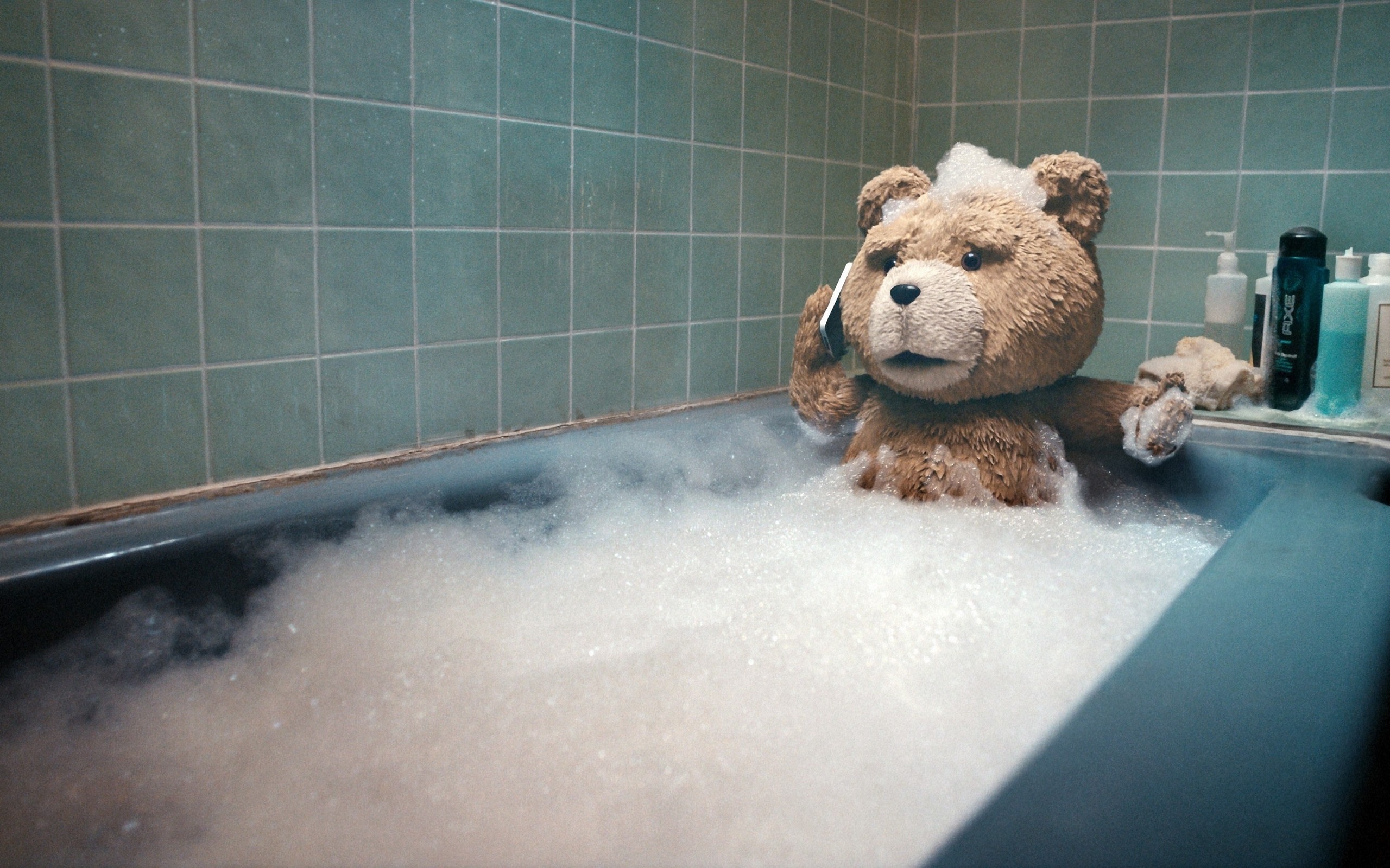 Ted the teddy bear in a bubble bath HD Wallpaper