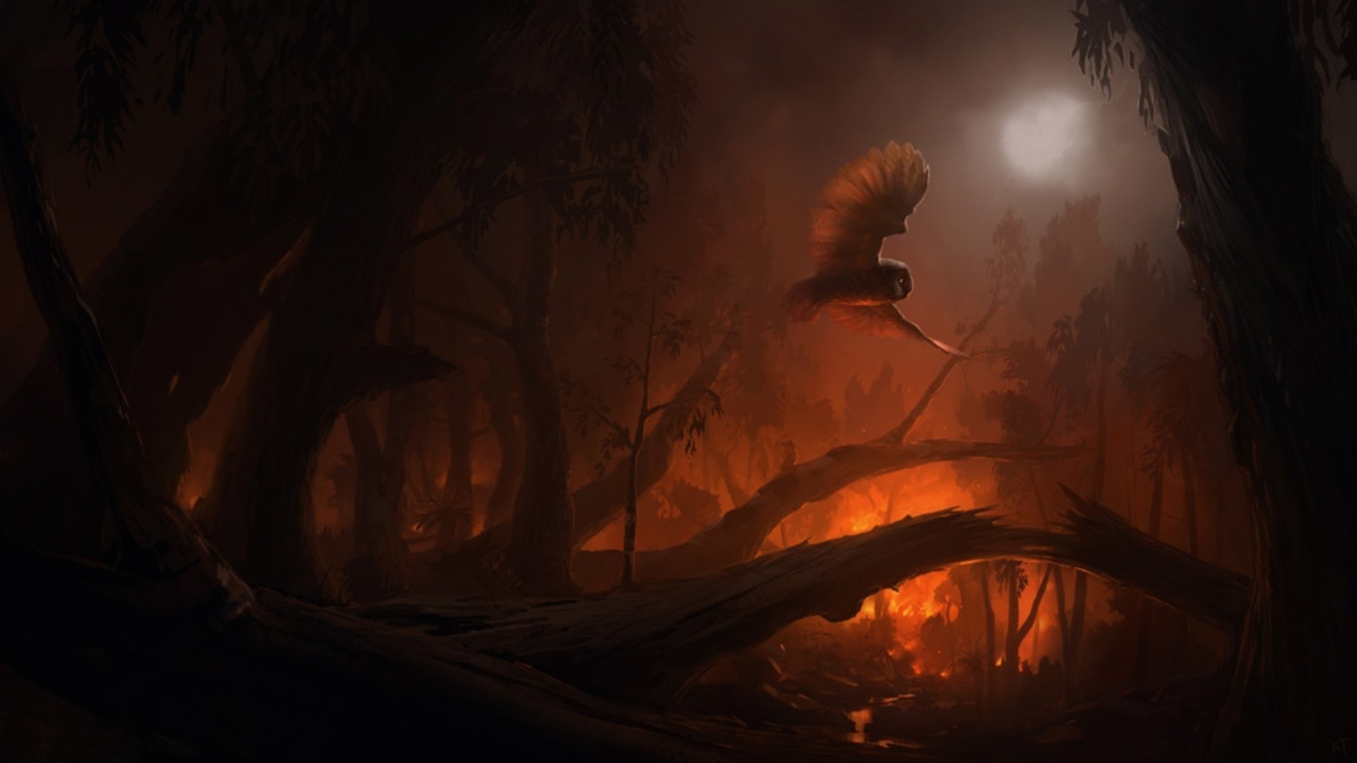 Owl flying over a burning forest at night HD Wallpaper