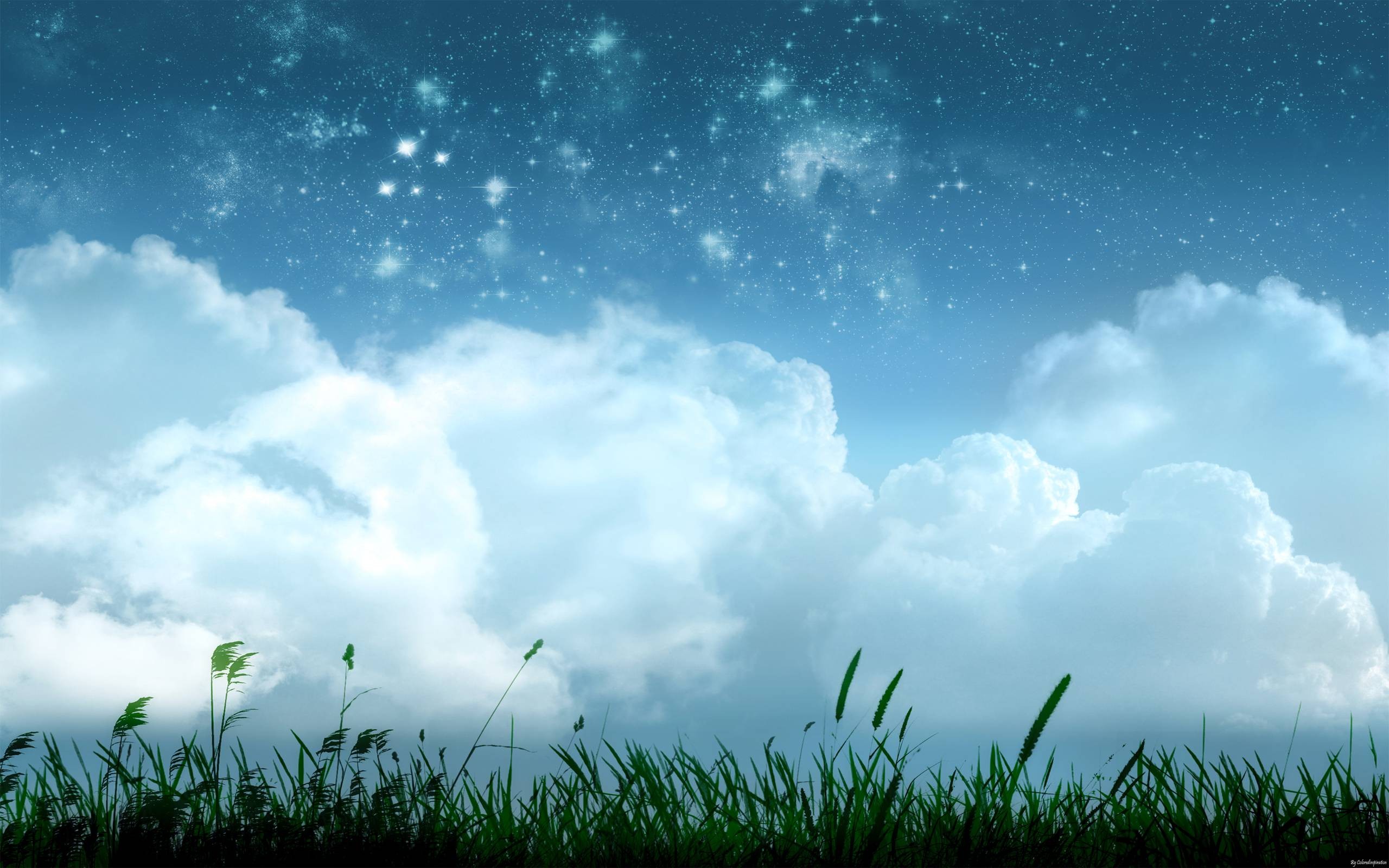 Starry Sky Over Clouds and Grass HD Wallpaper