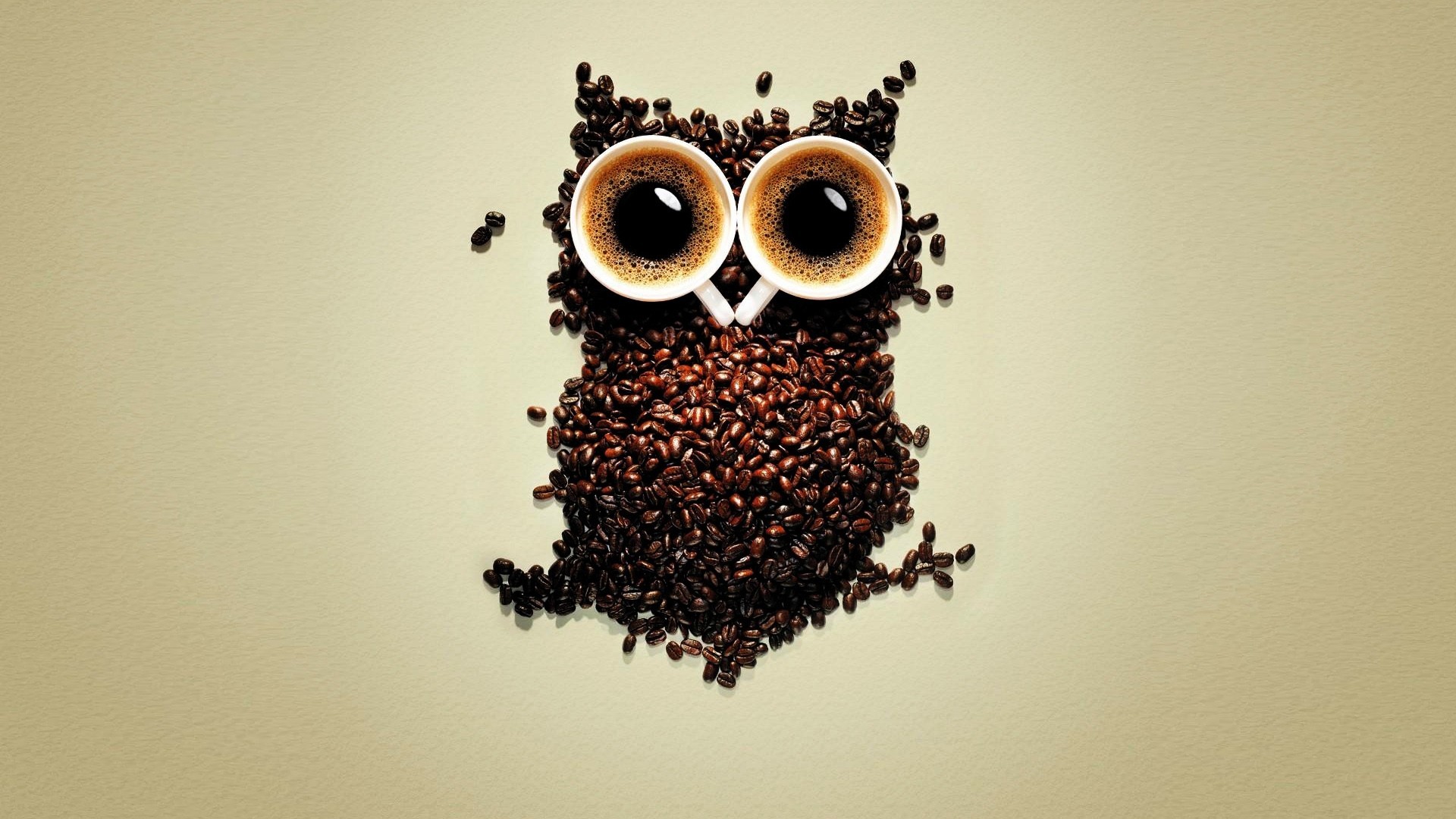 Owl made of coffee beans and cups HD Wallpaper