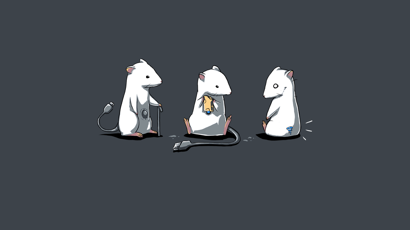 Three white mice with computer cables and cheese HD Wallpaper