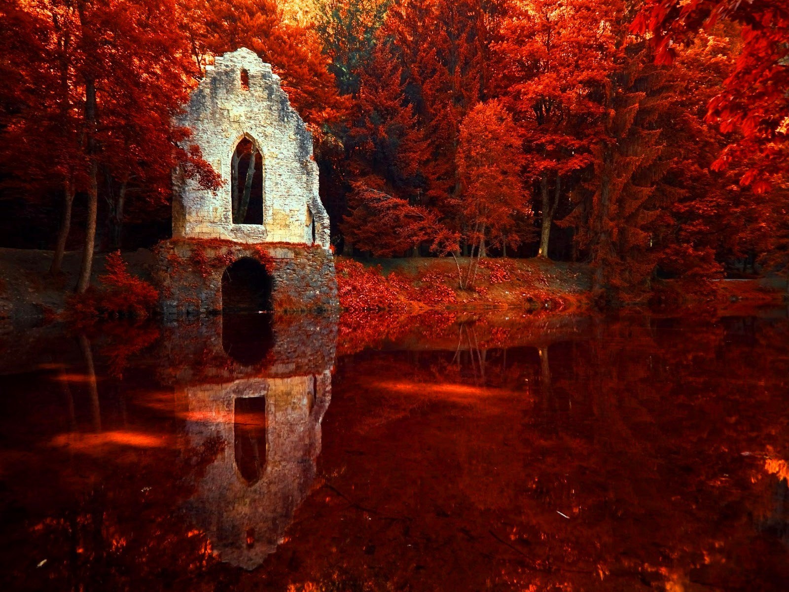 Autumn ruin reflected in red water HD Wallpaper
