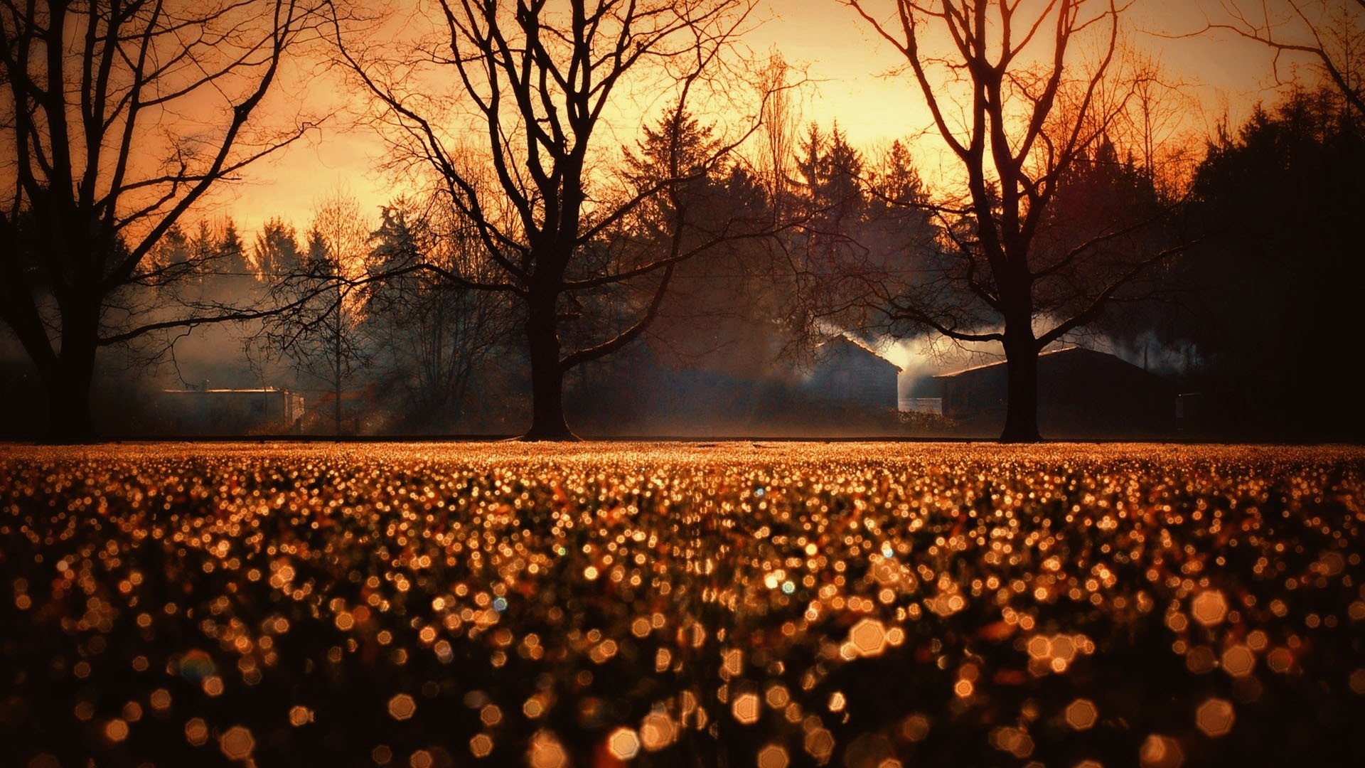 Autumn landscape with trees and houses at sunset HD Wallpaper