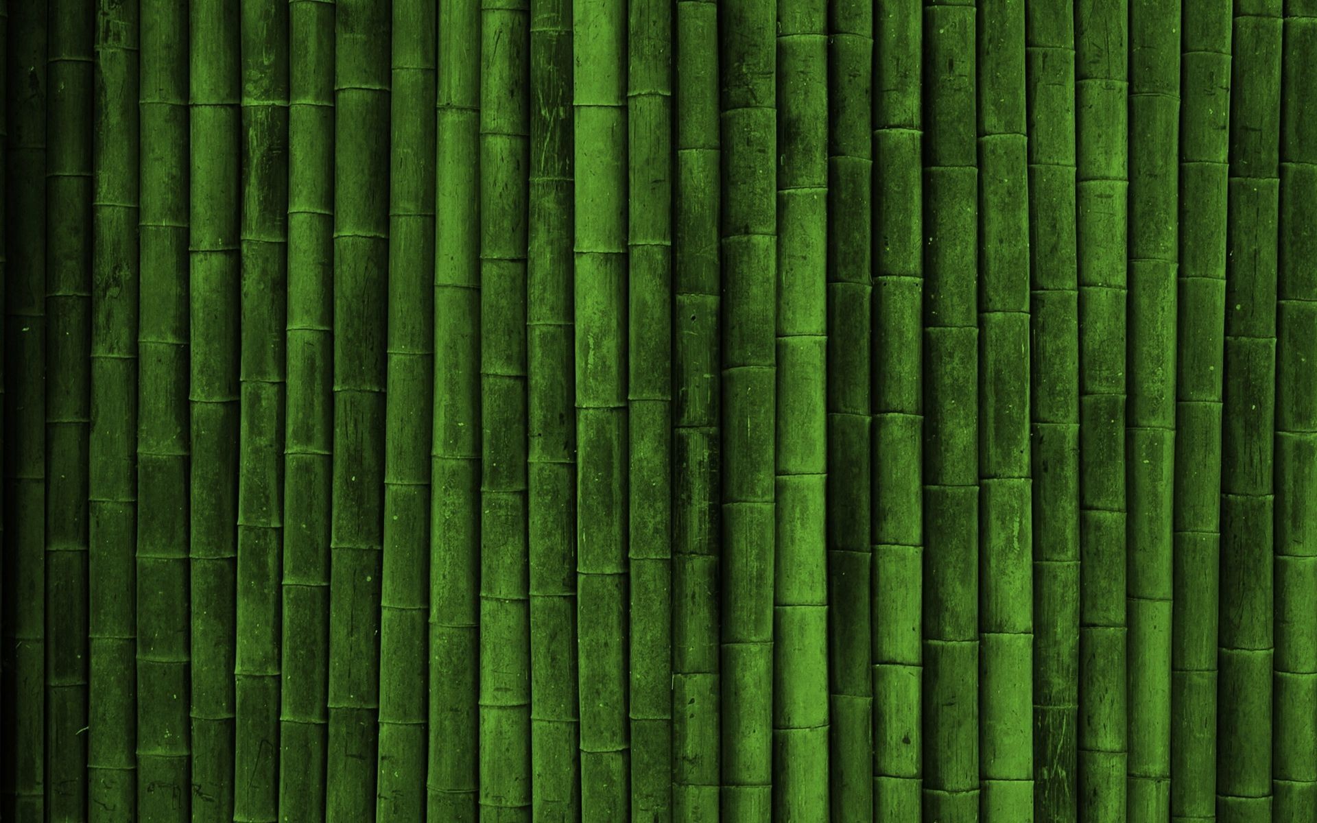 Green bamboo stalks arranged vertically HD Wallpaper