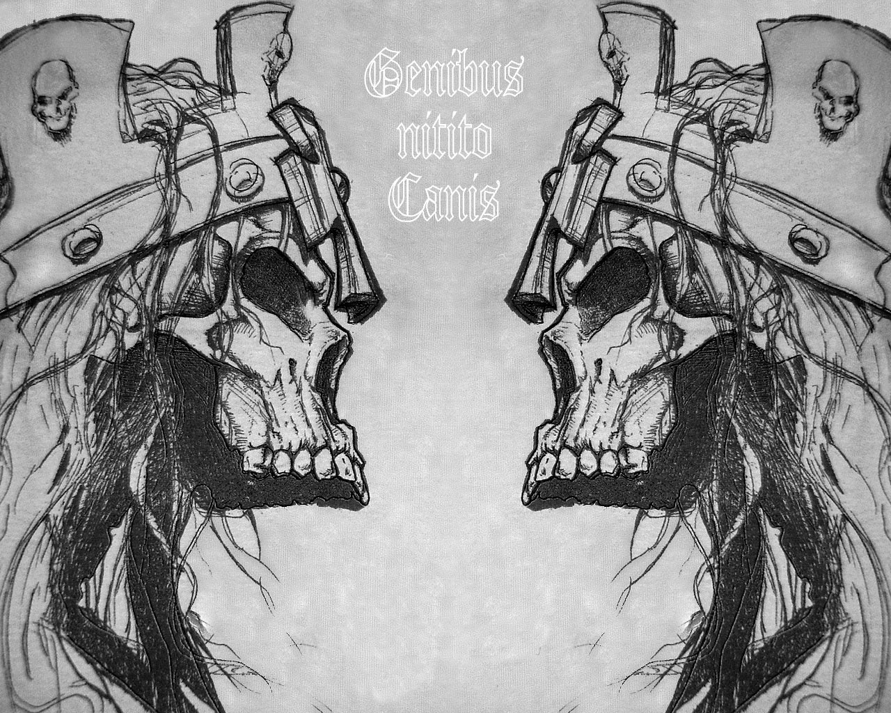 Genibus Rütito Canis Skull Art HD Wallpaper