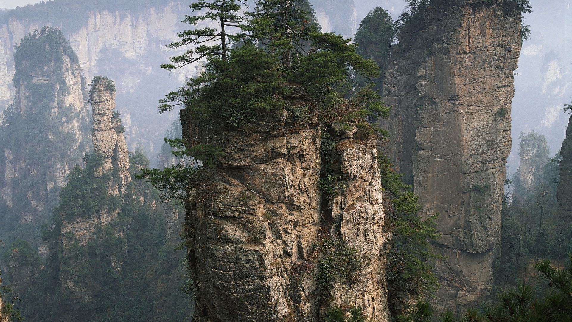 Misty mountains with tall rock formations and trees HD Wallpaper