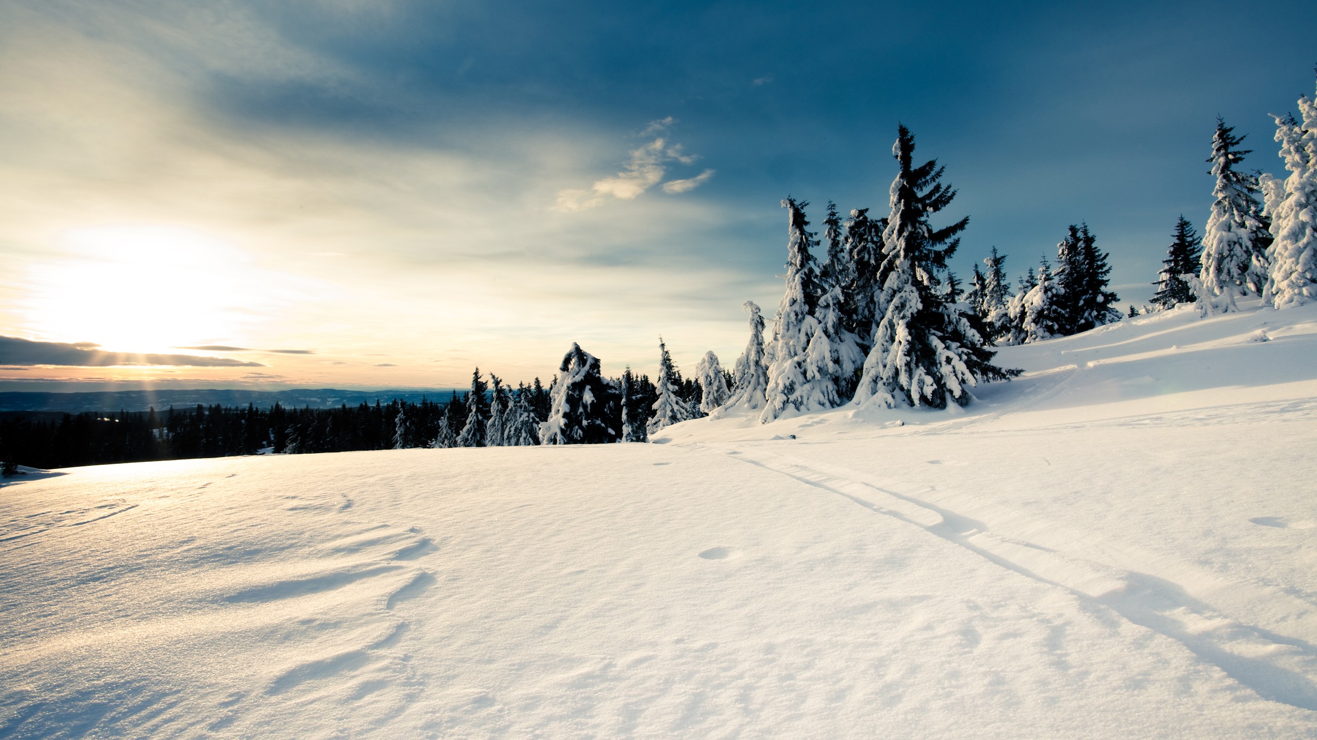 Snowy landscape with trees and sunlight HD Wallpaper