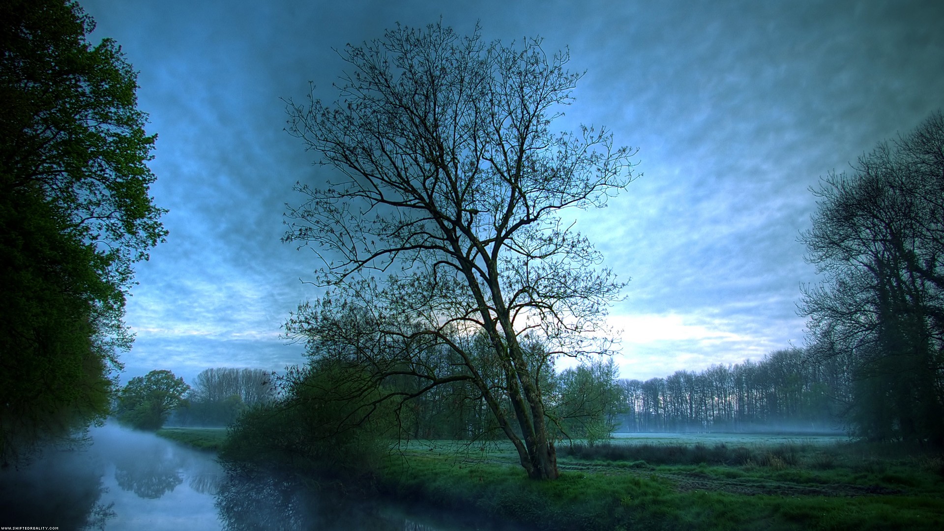 Misty river and trees under a cloudy sky HD Wallpaper