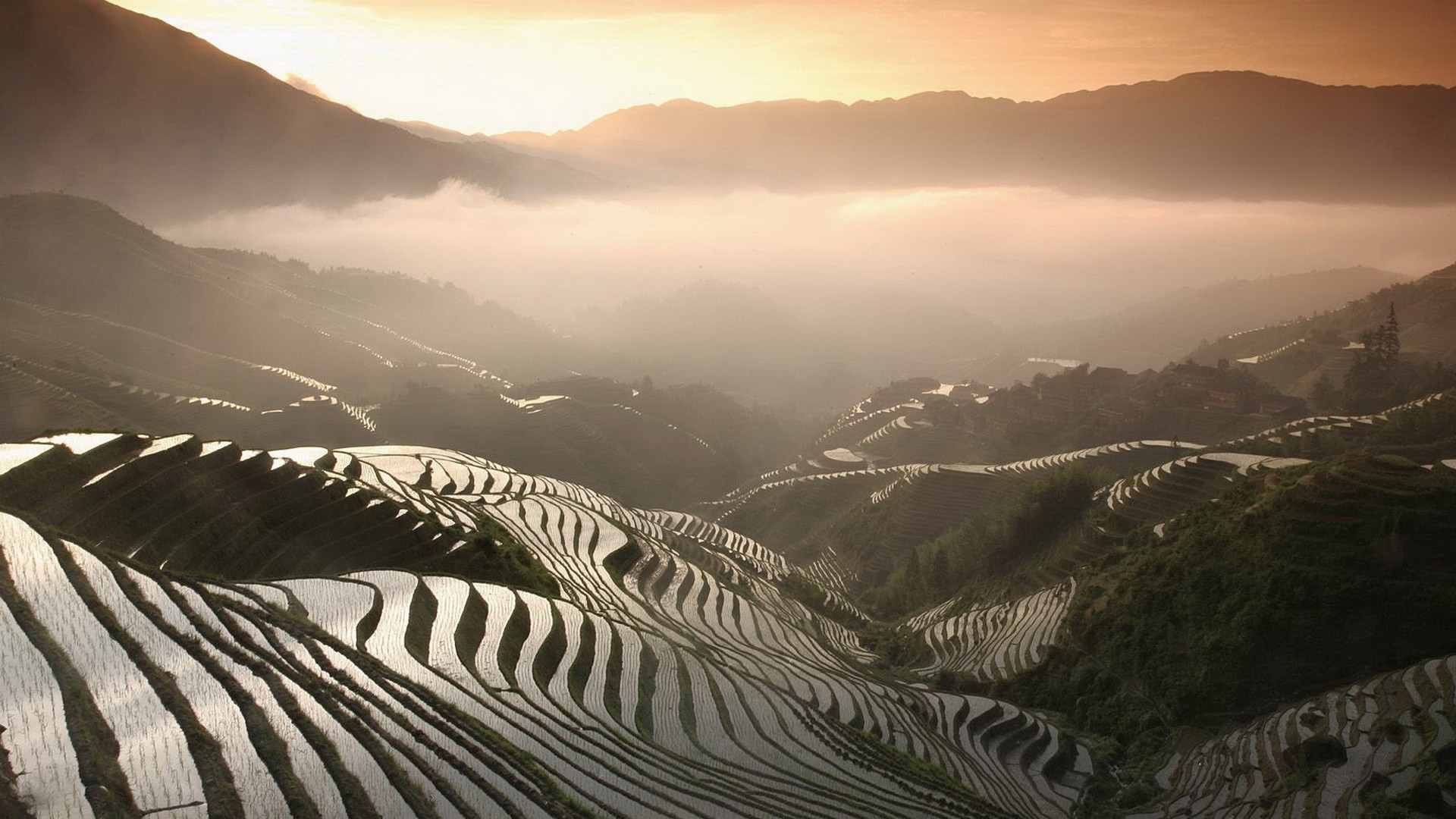 Terraced rice fields in the mountains at sunrise HD Wallpaper