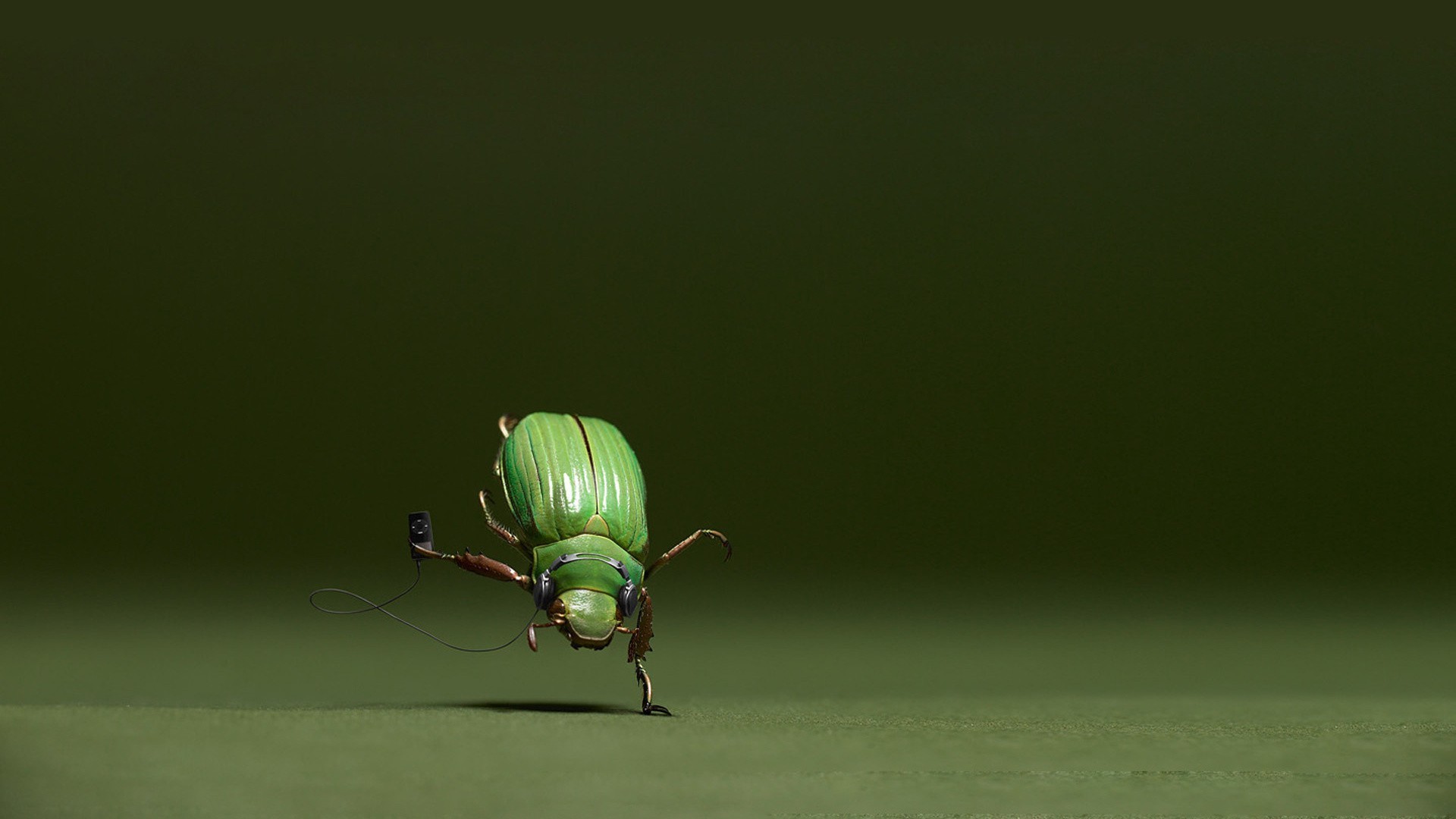 Green beetle listening to music with headphones HD Wallpaper