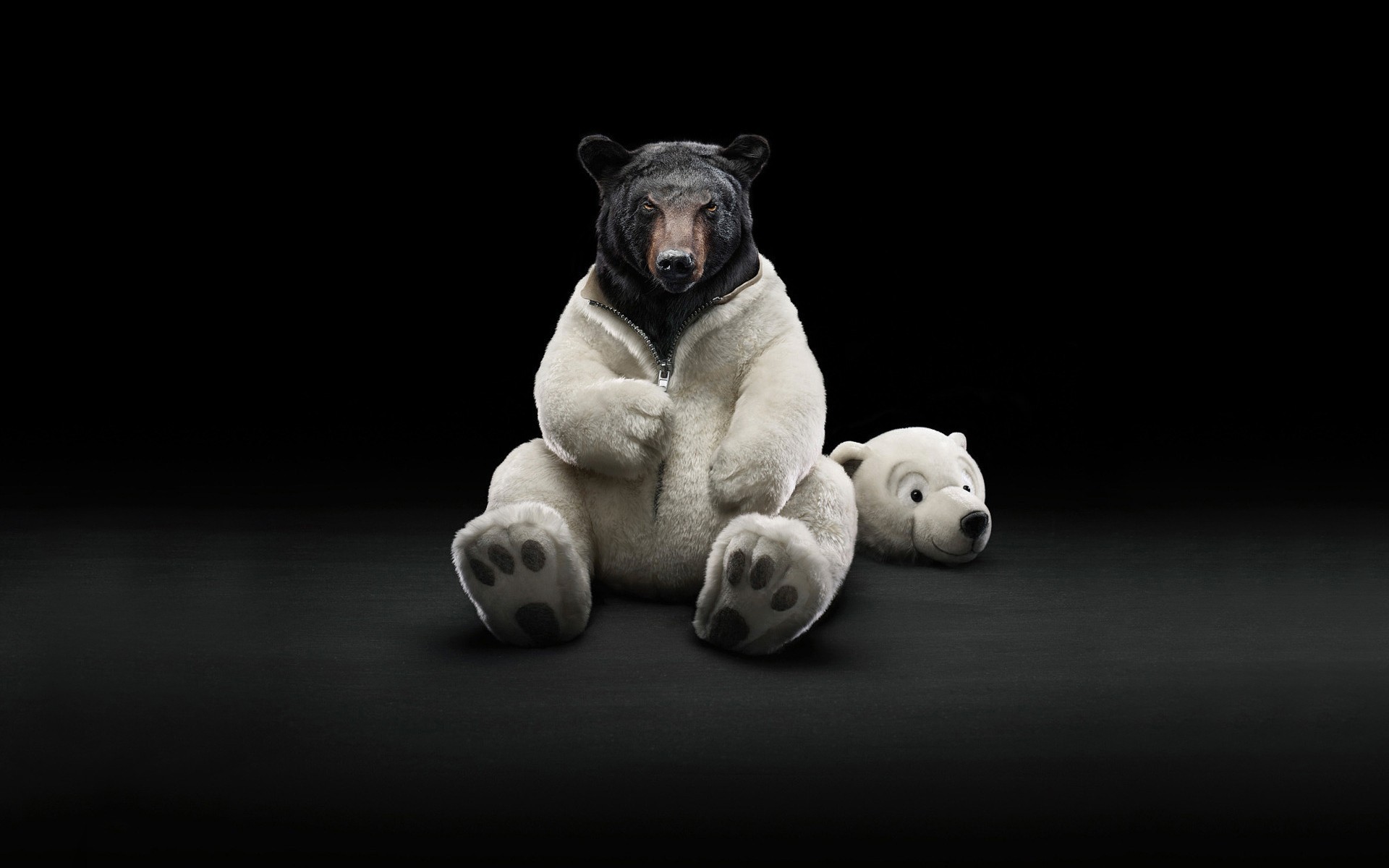 Bear wearing a polar bear costume HD Wallpaper