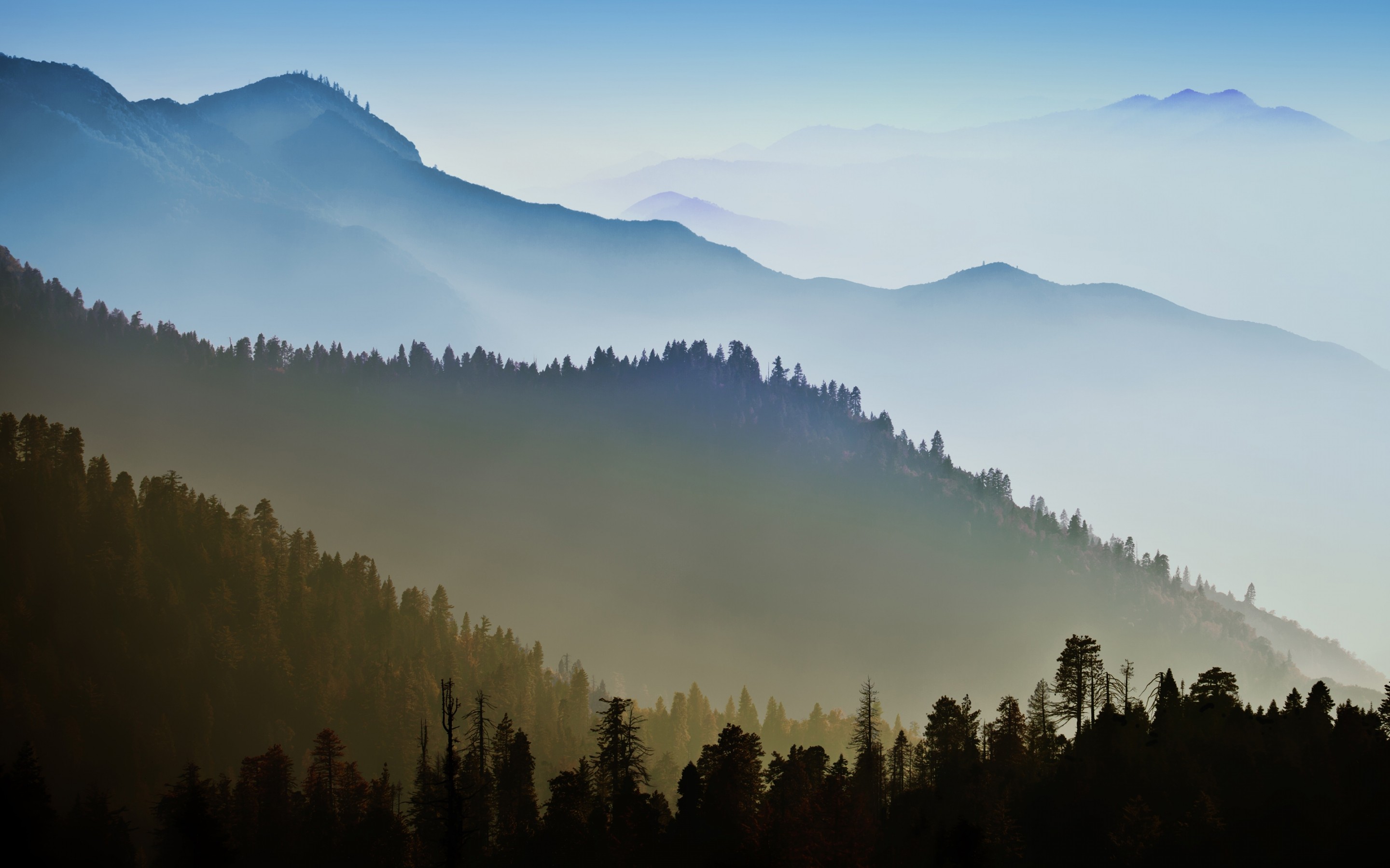 Nature Landscape Trees Mountains HD Wallpaper