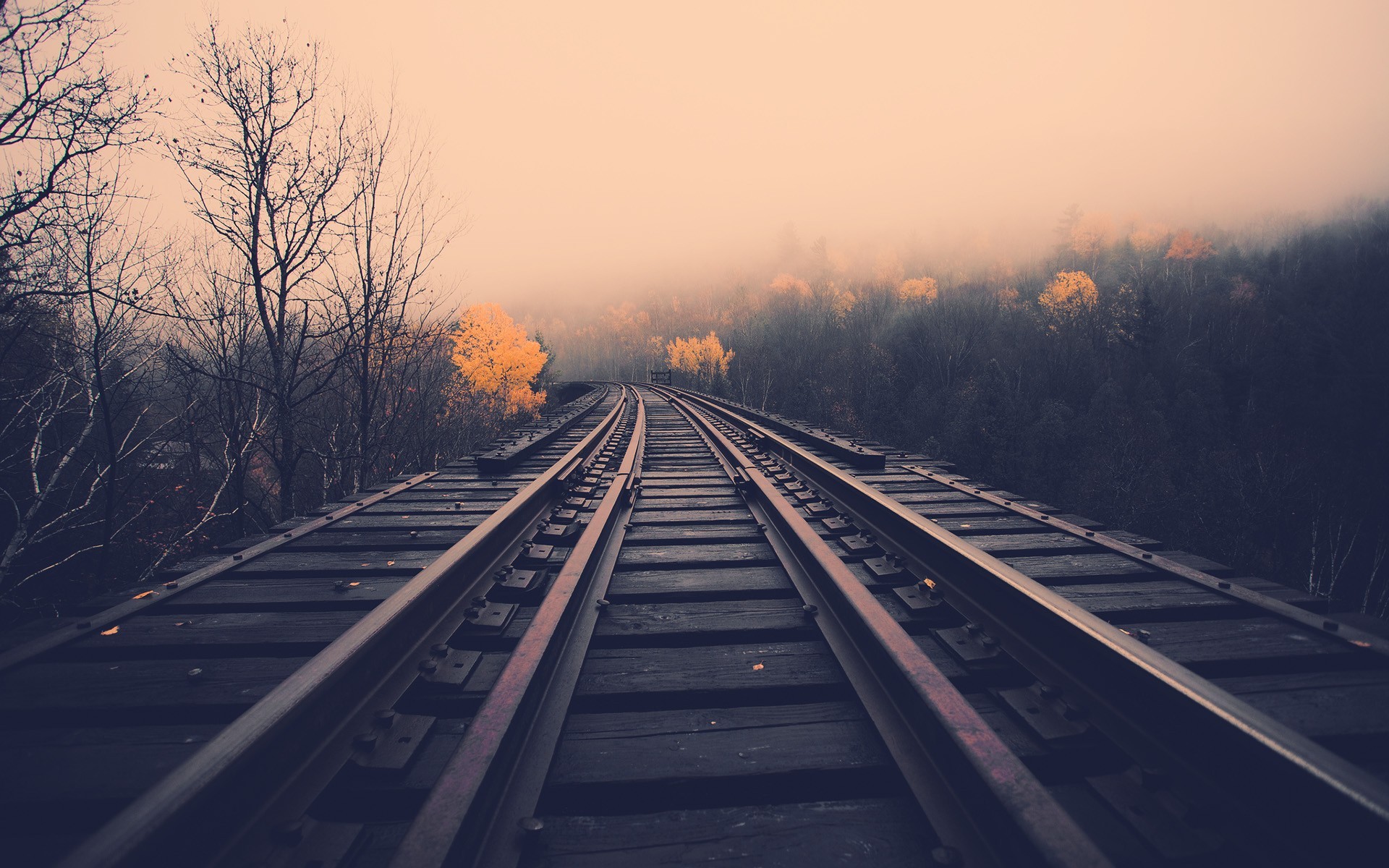 Railway bridge in a misty forest during fall HD Wallpaper