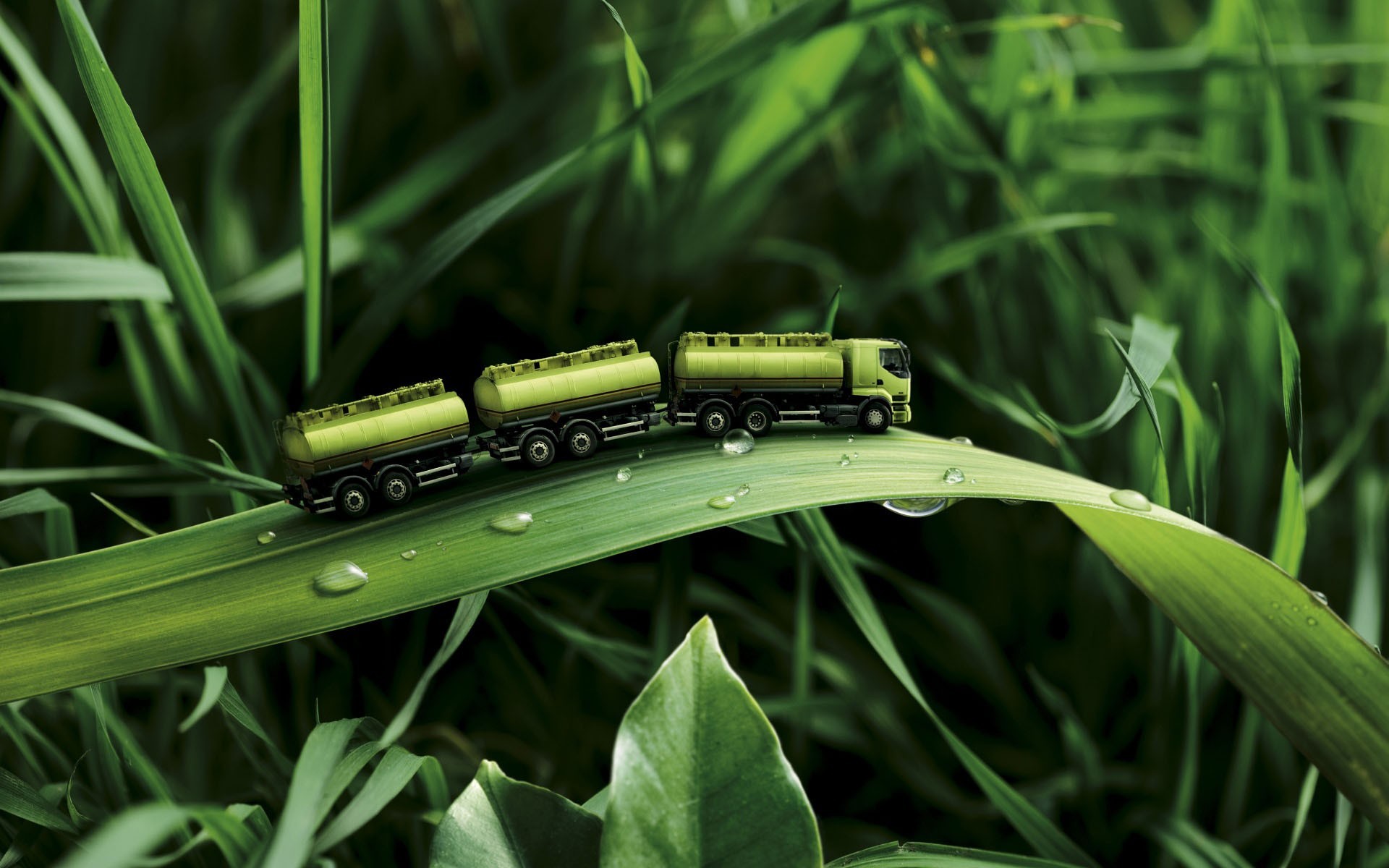 Toy trucks on a blade of grass with water droplets HD Wallpaper