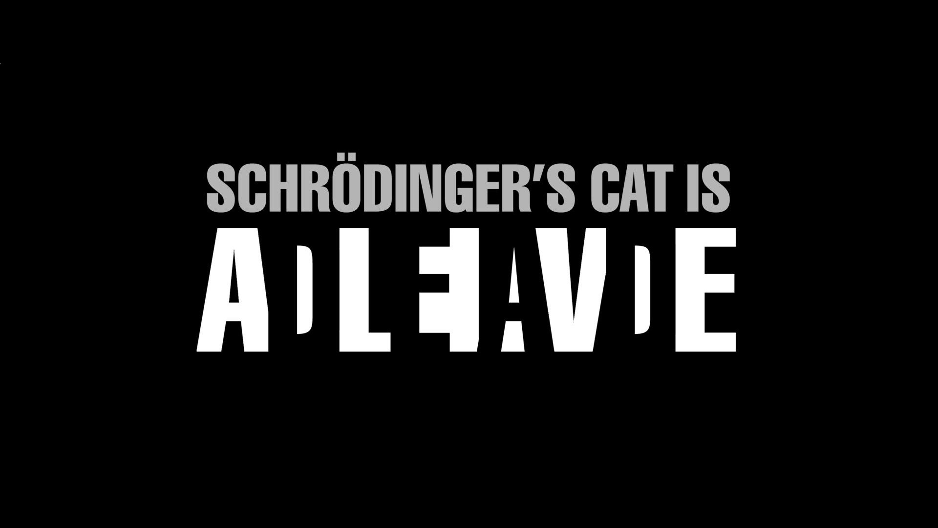 Schrödinger's Cat is Alive Typography HD Wallpaper