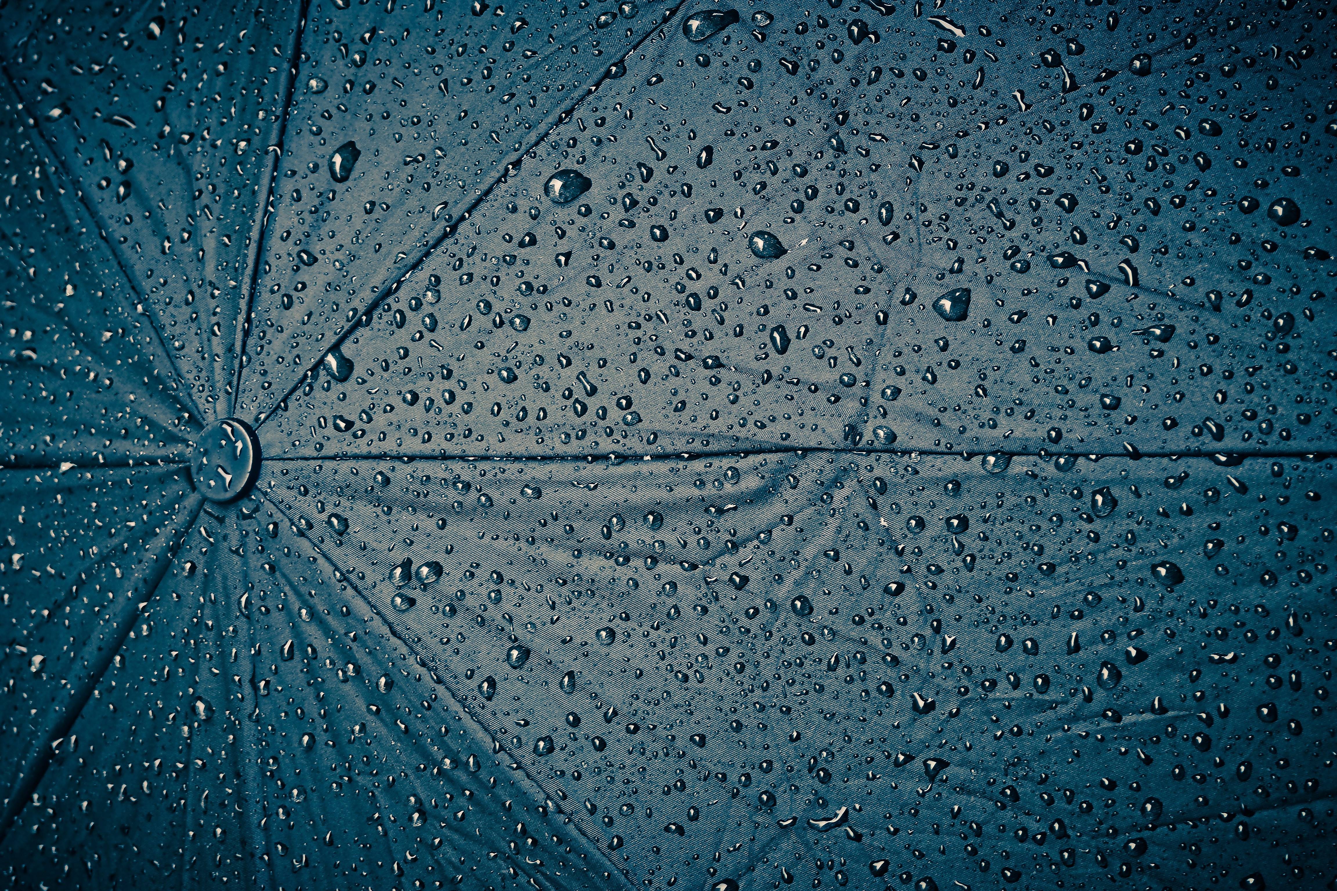 Close-up of water droplets on a dark blue umbrella HD Wallpaper