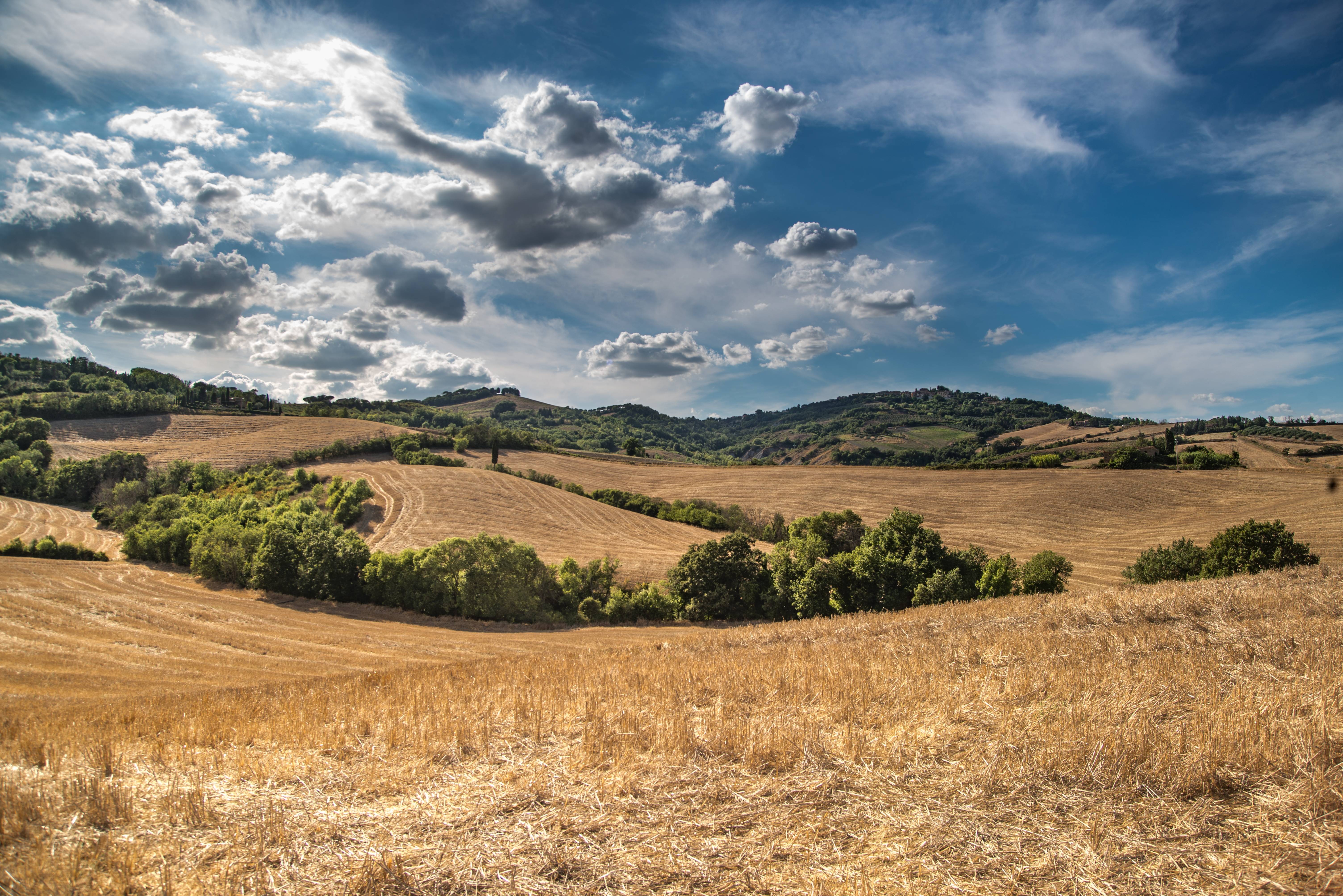Golden fields and green hills under a cloudy blue sky HD Wallpaper