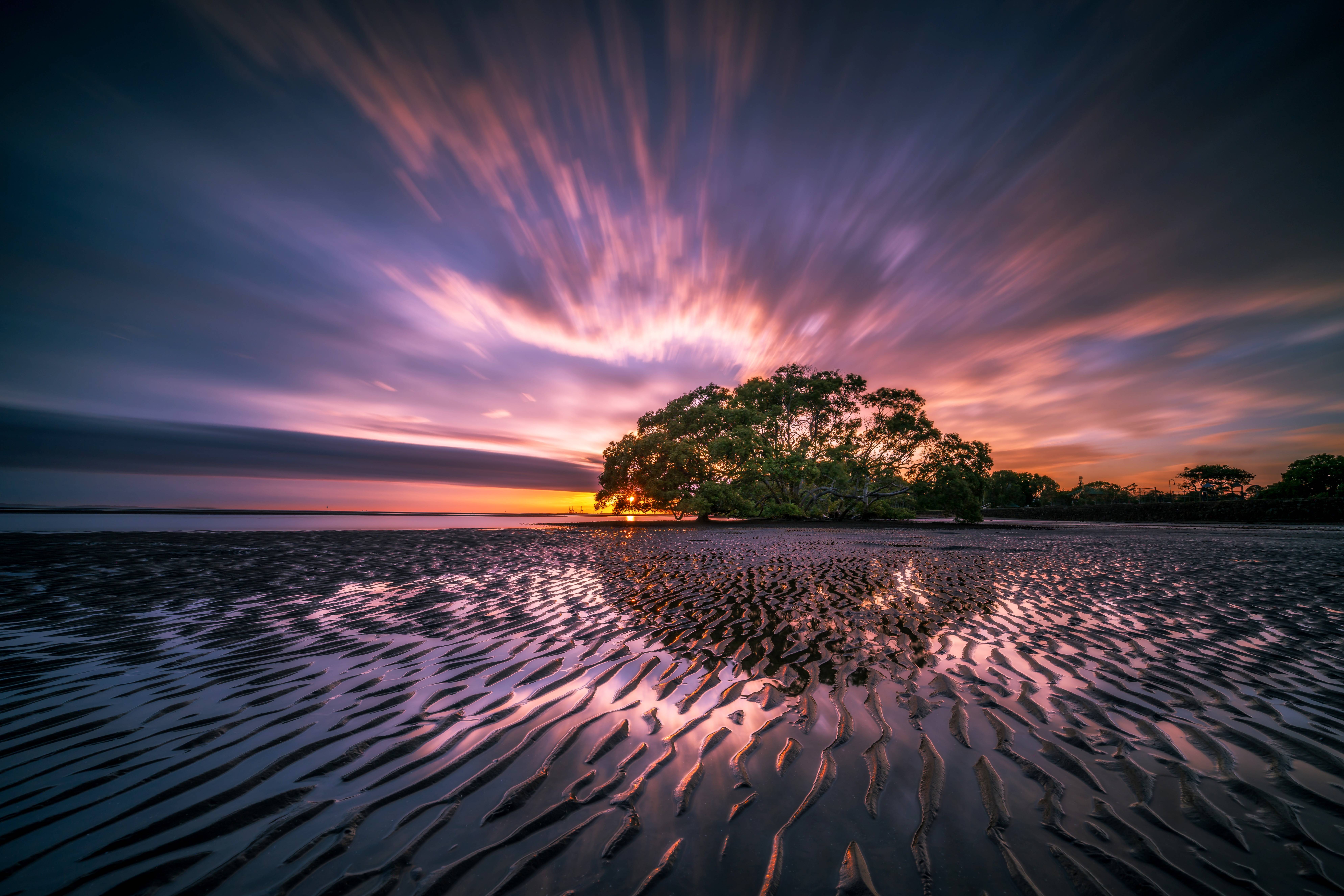 Mangrove tree on a sandy beach at sunset with rippled sand HD Wallpaper