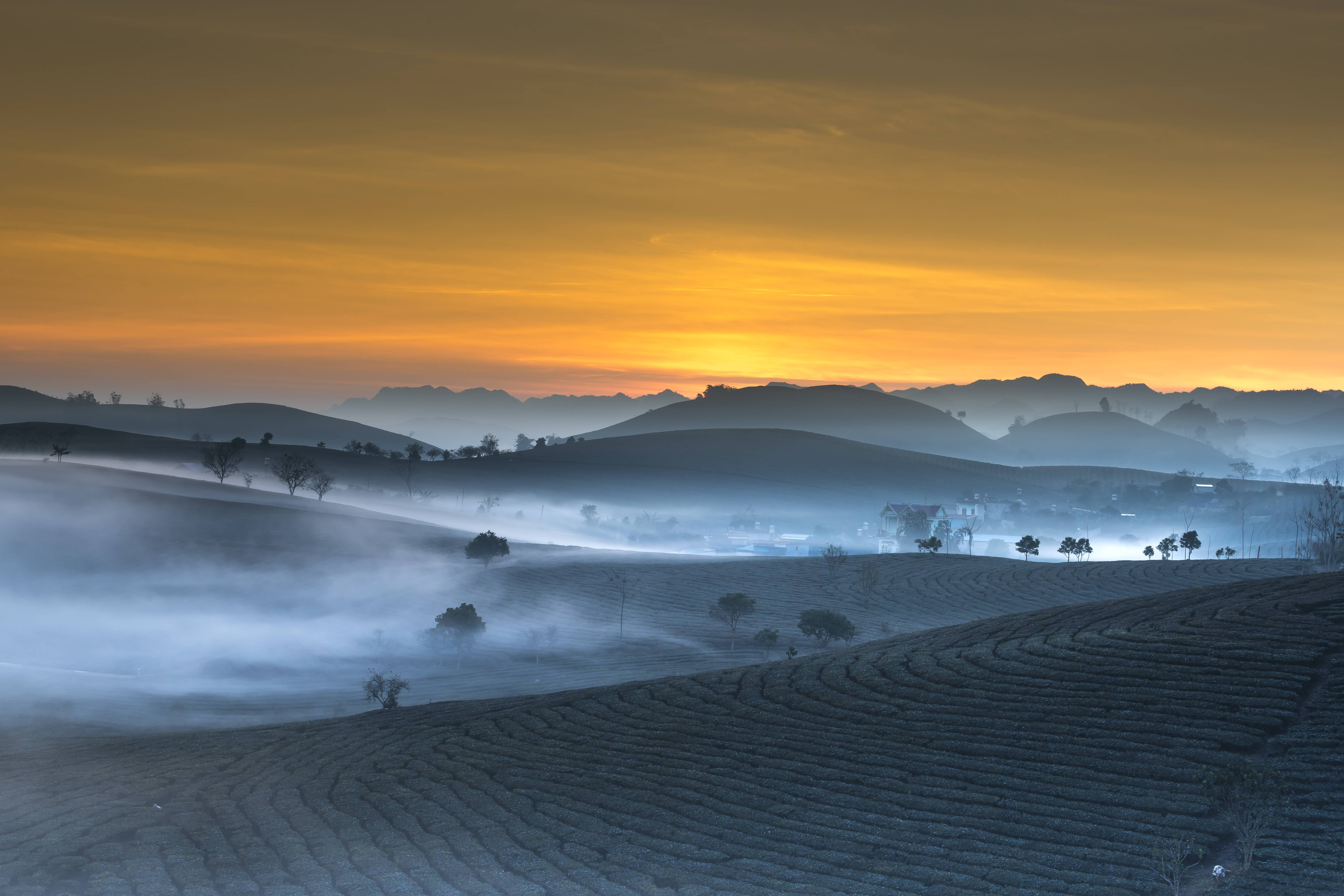 Misty tea plantation landscape at sunrise in Vietnam HD Wallpaper
