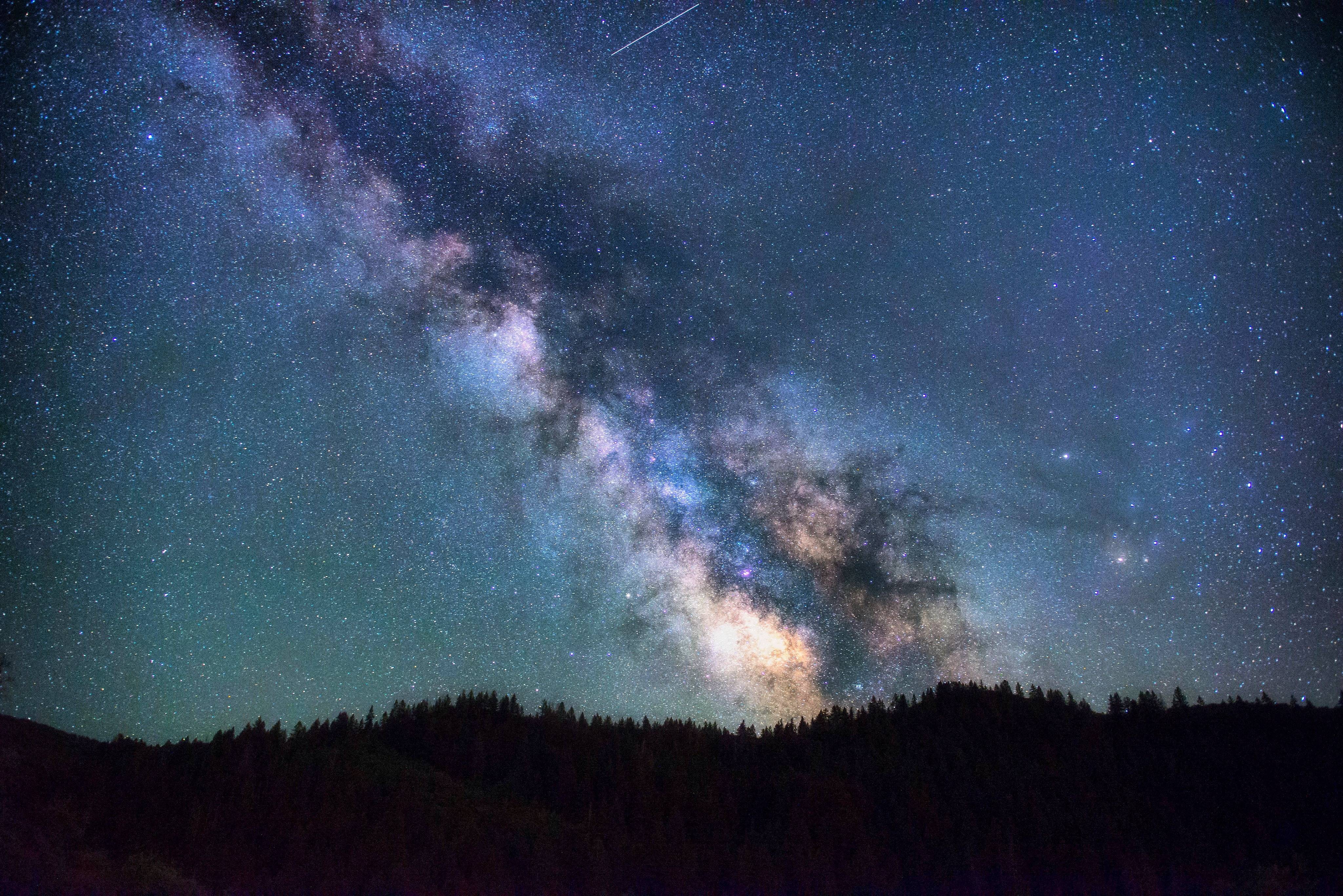Milky Way galaxy over a dark forest silhouette HD Wallpaper