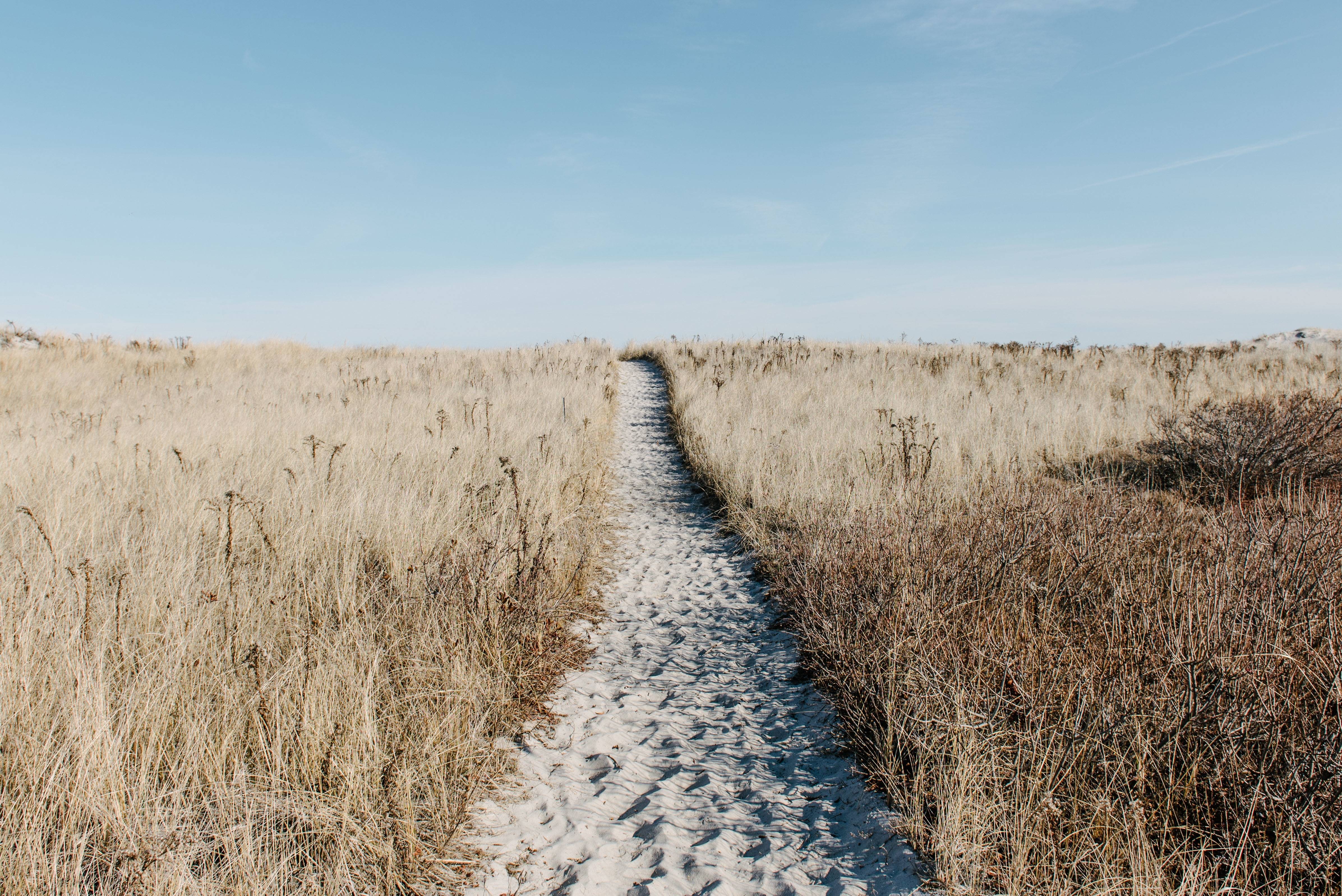 Sandy path through a dry grassy field under a blue sky HD Wallpaper