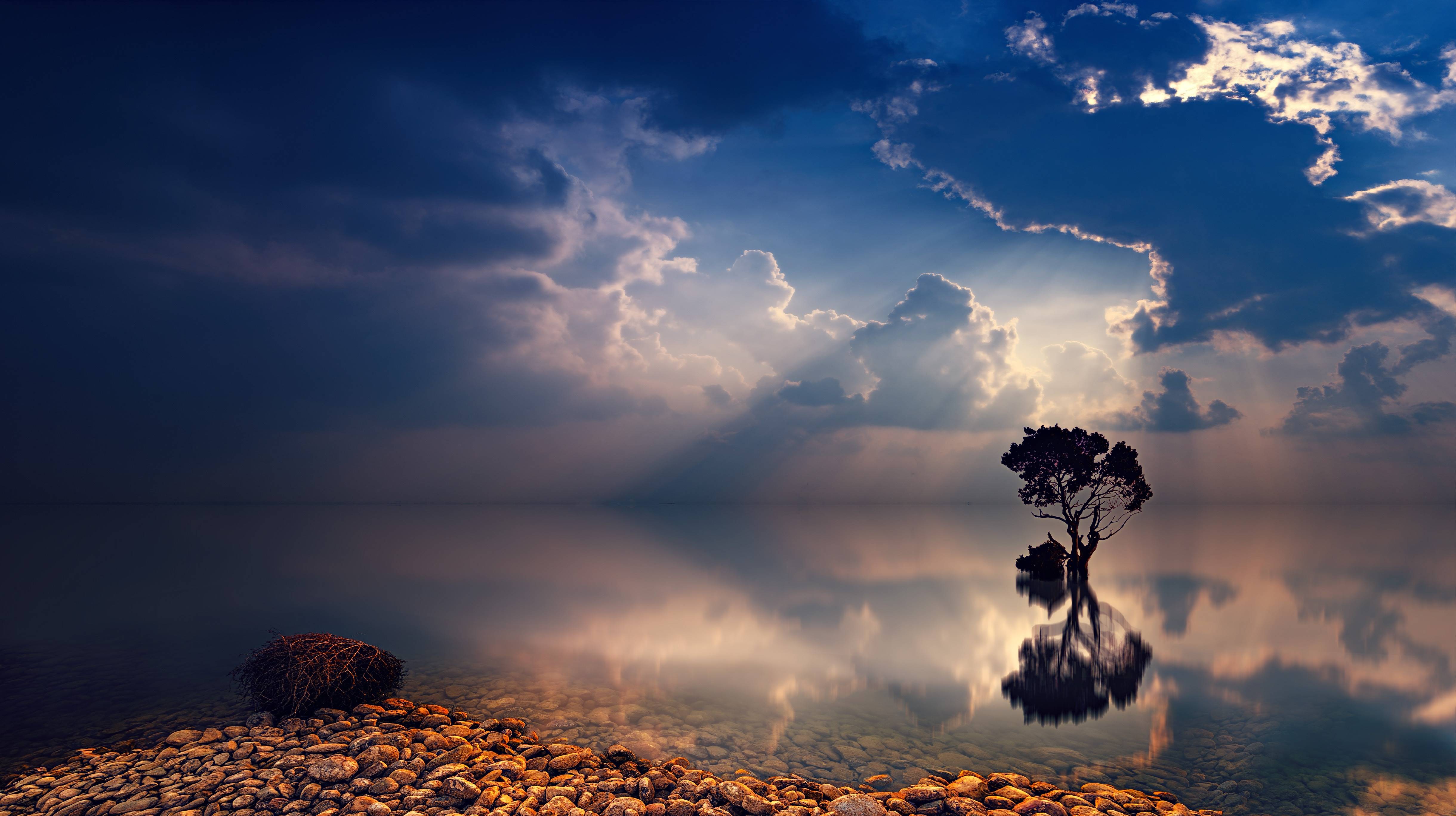 Tree reflecting in the water at dusk with sunbeams HD Wallpaper