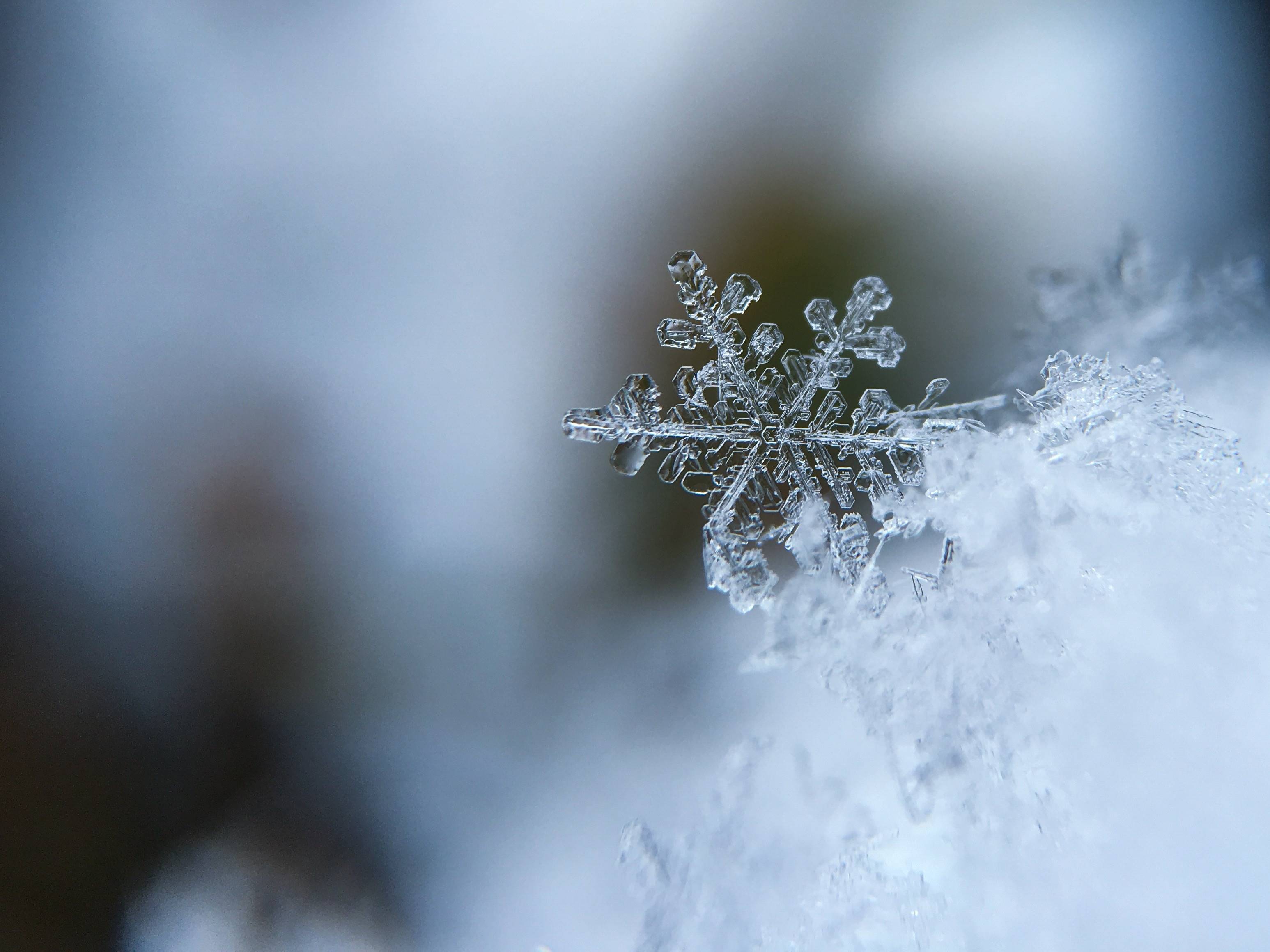 Macro view of a delicate snowflake on snow HD Wallpaper
