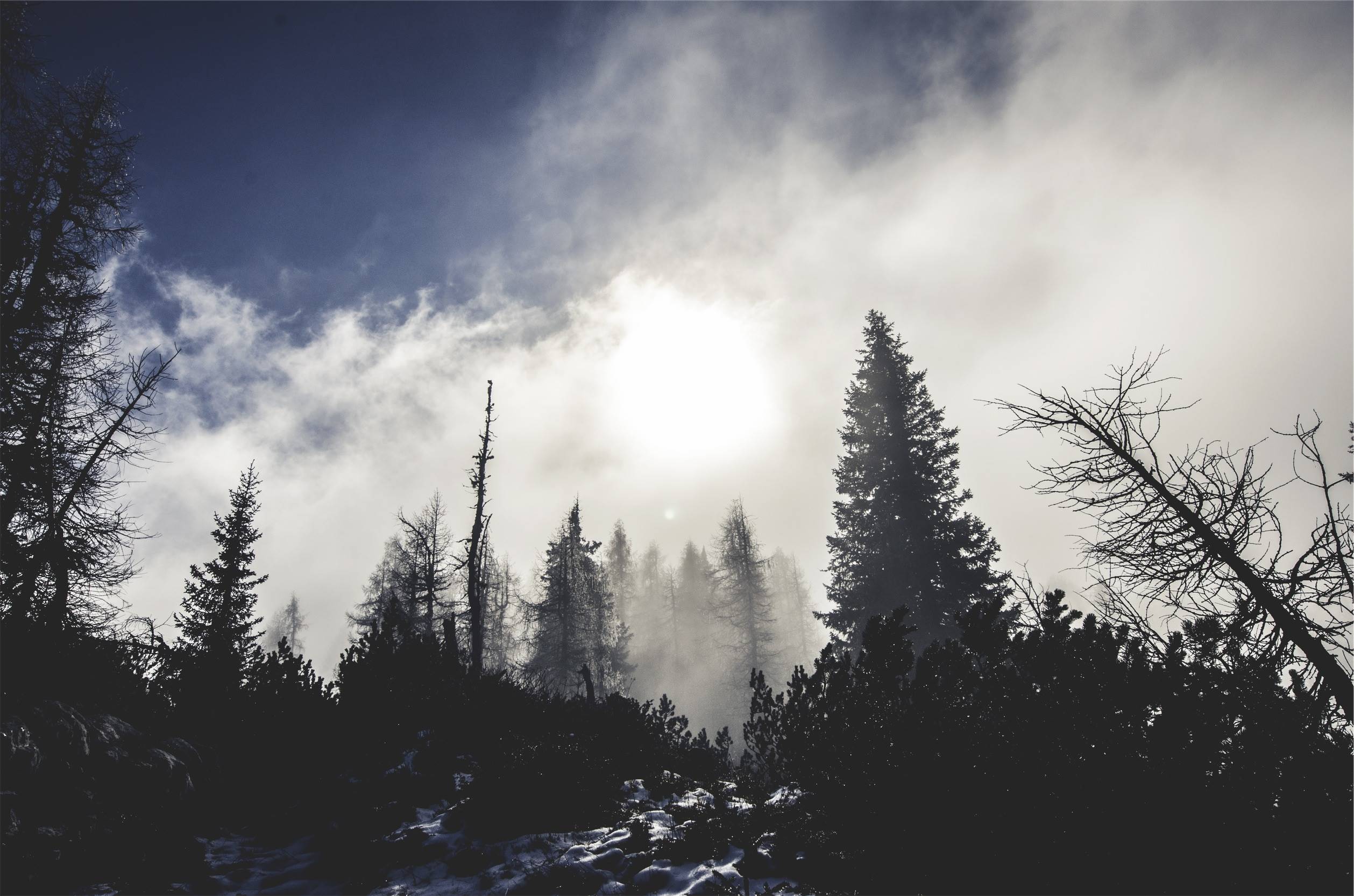 Misty forest with snow and clouds HD Wallpaper