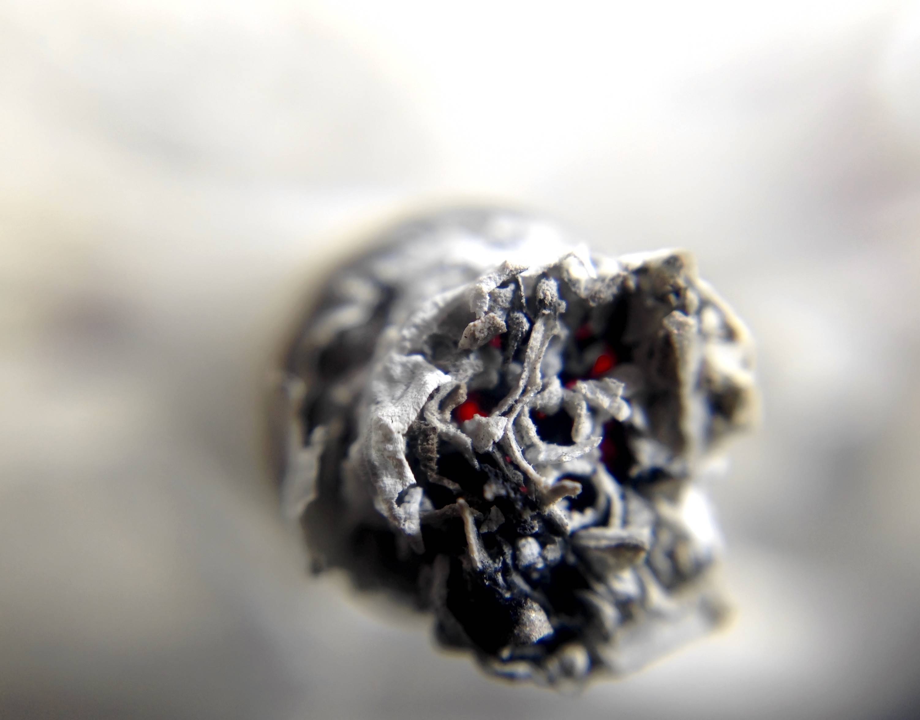 Close-up of a burning cigarette ash HD Wallpaper