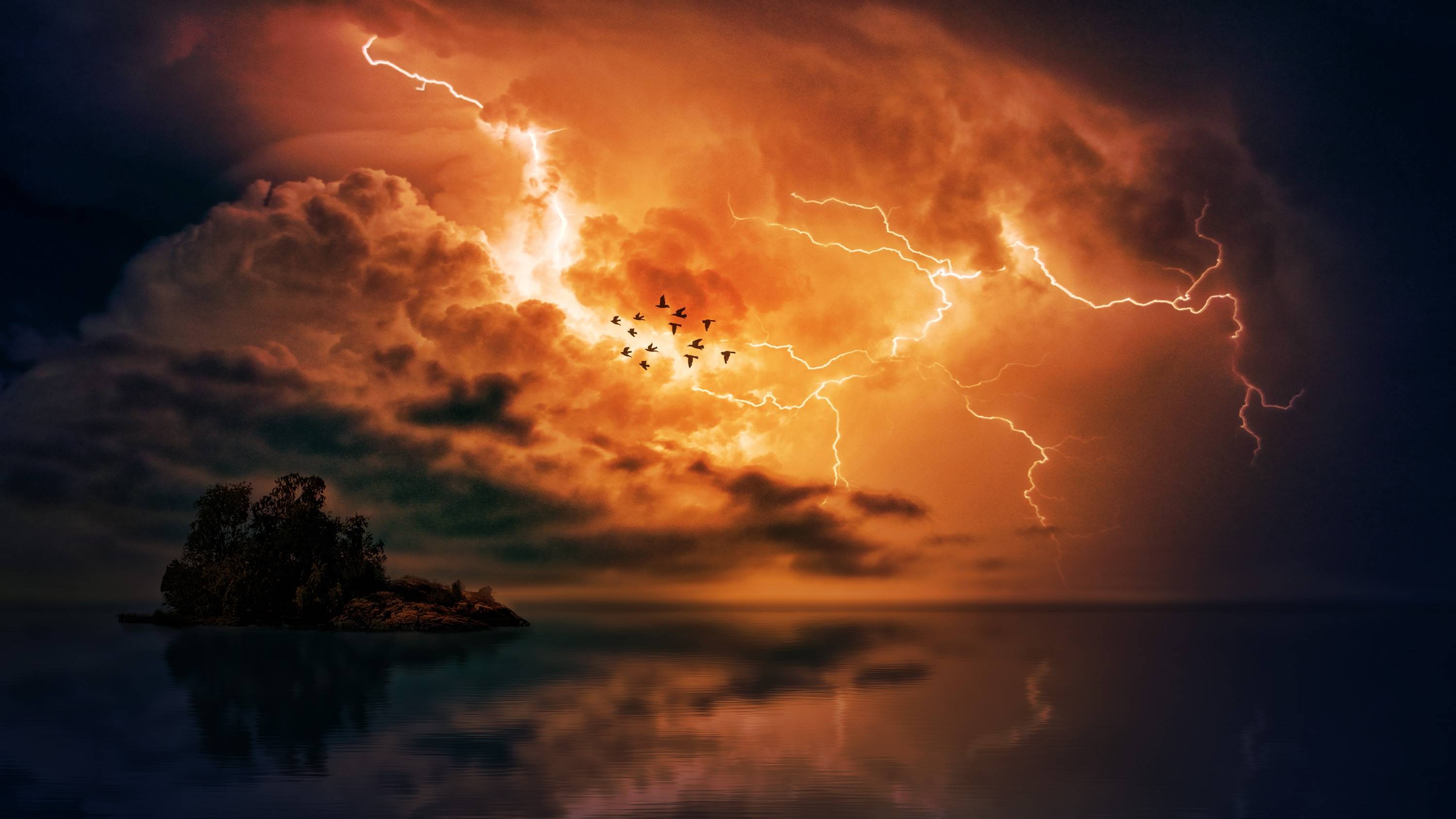 Island during a thunderstorm with lightning and birds HD Wallpaper