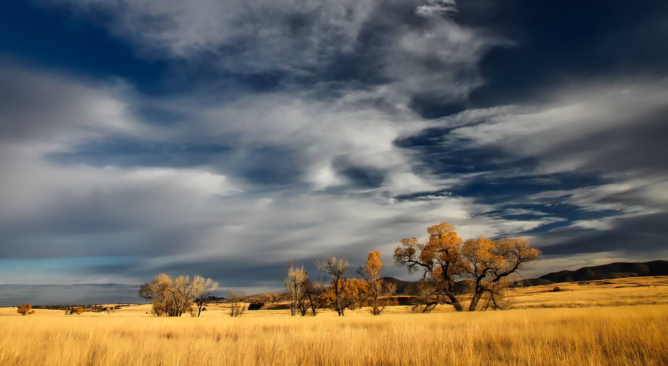 Autumn landscape with golden grassland and dramatic clouds HD Wallpaper