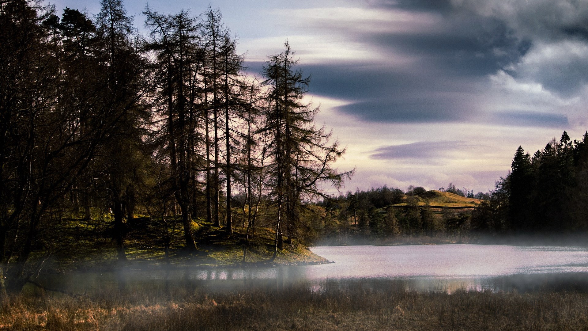 Misty lake with trees and cloudy sky HD Wallpaper